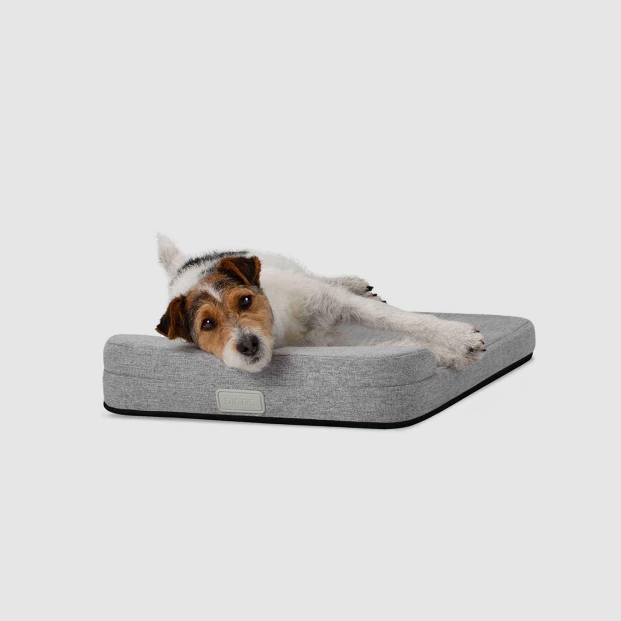 A dog laying on a Bolstr bed with its head on the bolster