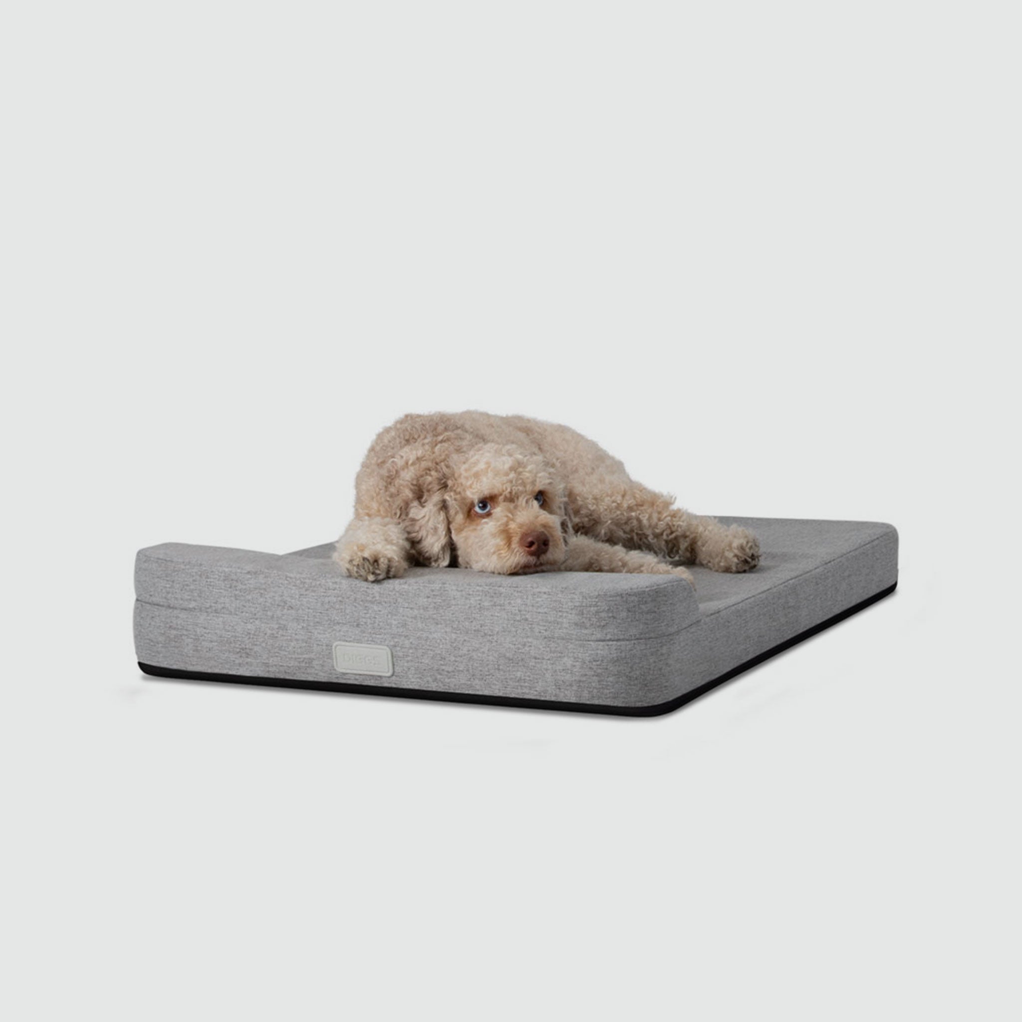 A dog laying on a Bolstr bed with its head on the bolster