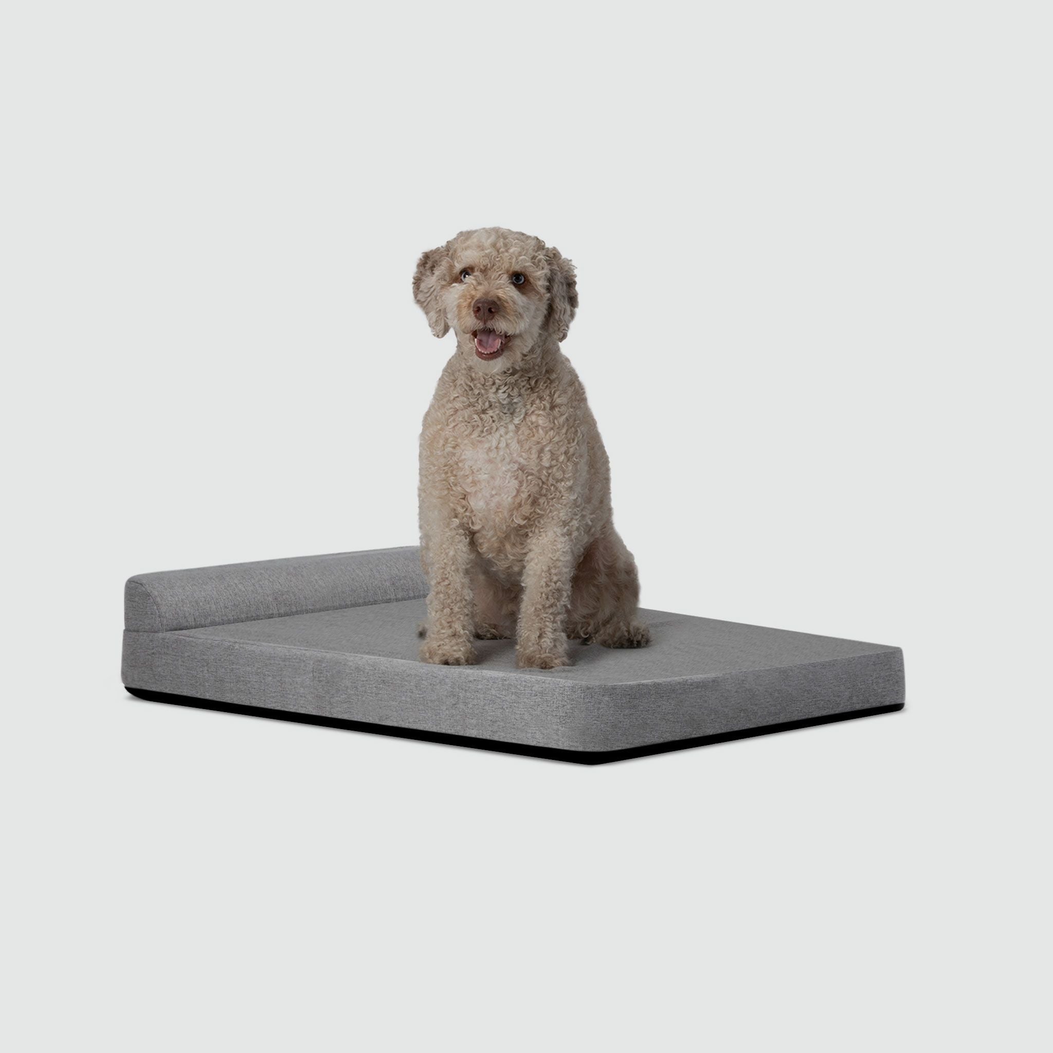 A small dog sitting on top of a dog bed
