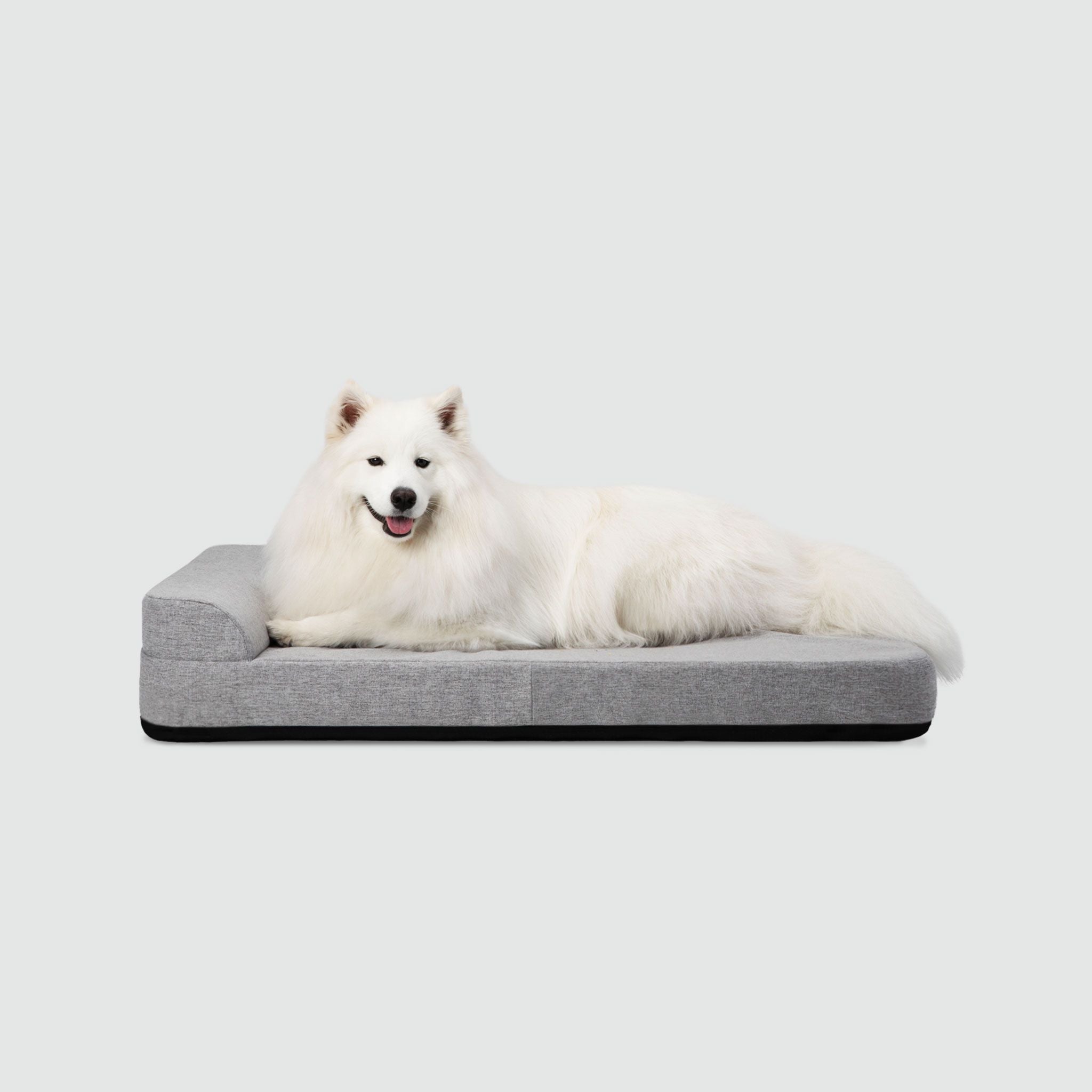 A white dog laying on top of a dog bed