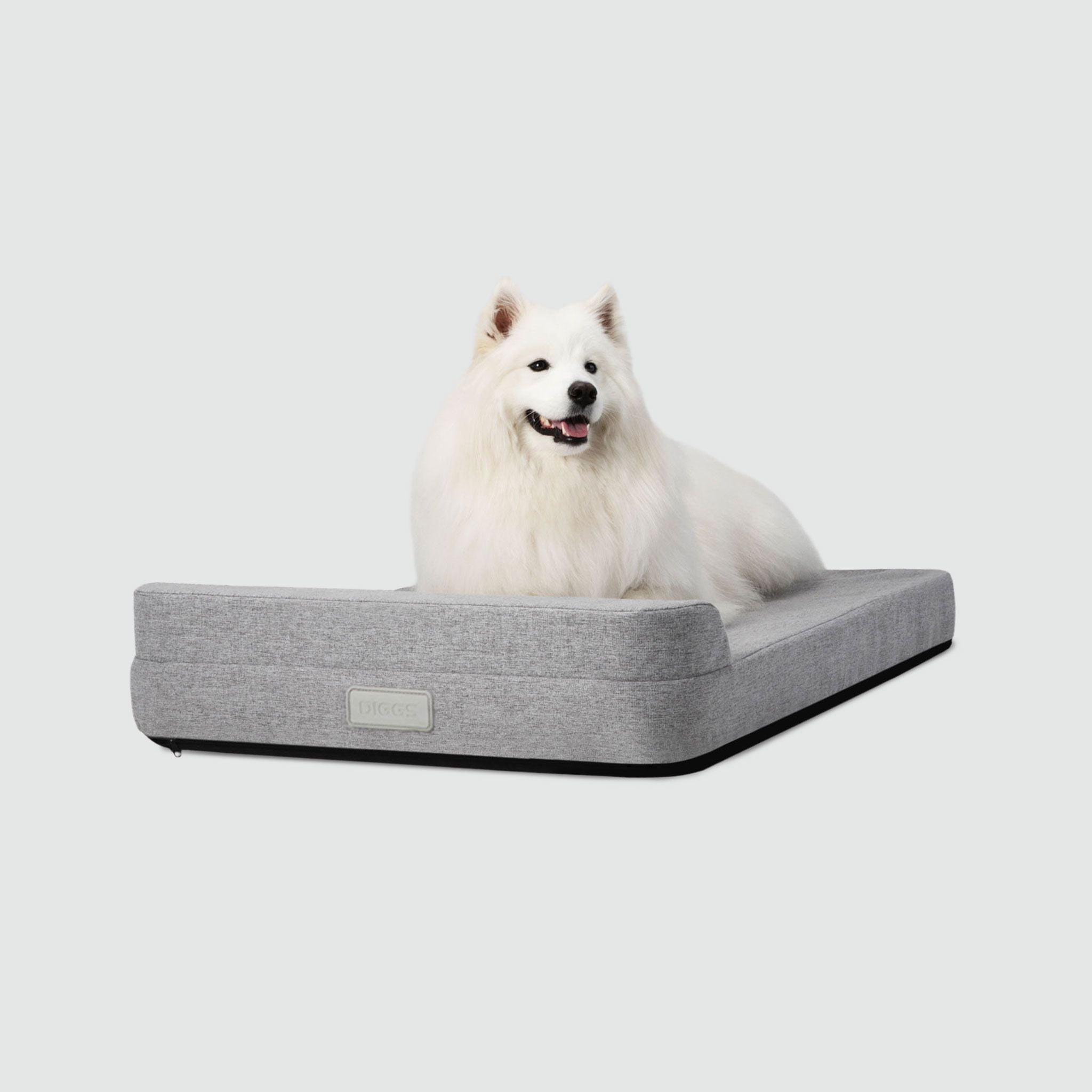 A dog laying on a Bolstr bed