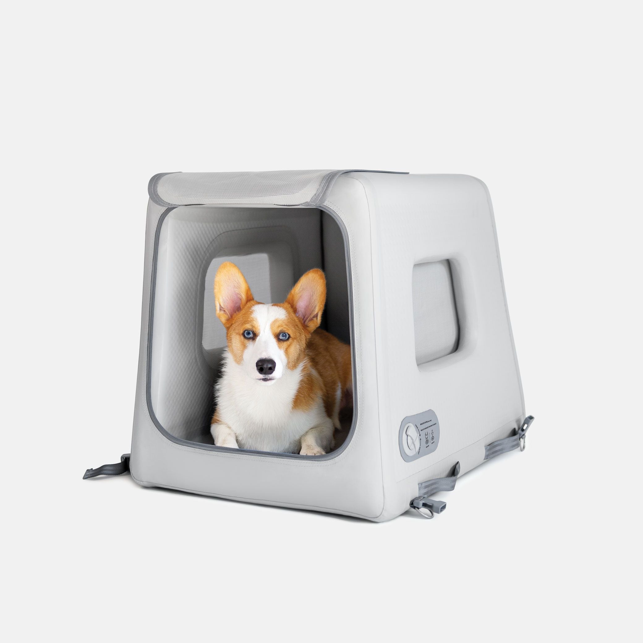 a corgi sitting inside of an open Enventur