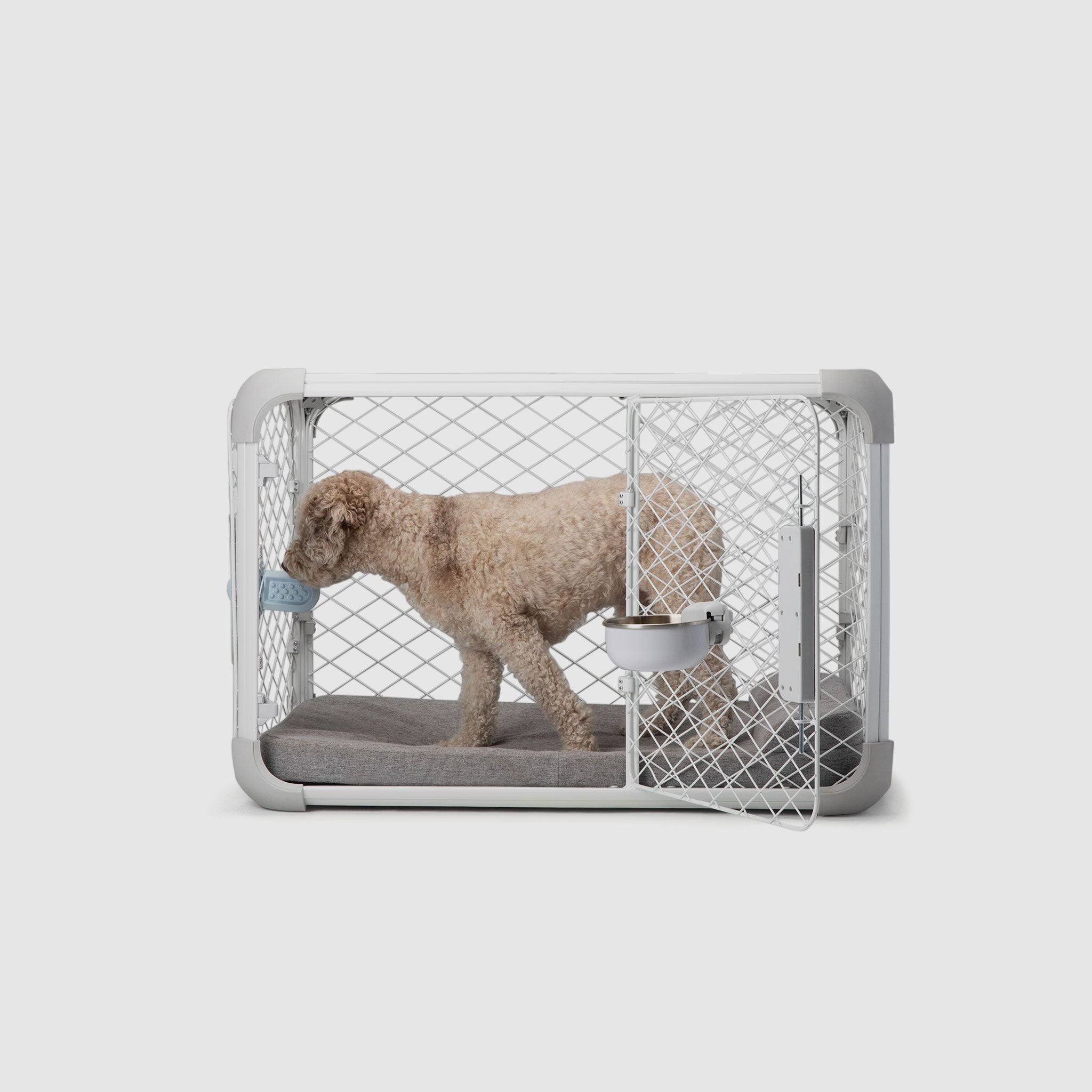 Side view of a dog licking a Groov inside an Evolv Dog Crate with open side door and a Bolstr bed inside the crate.