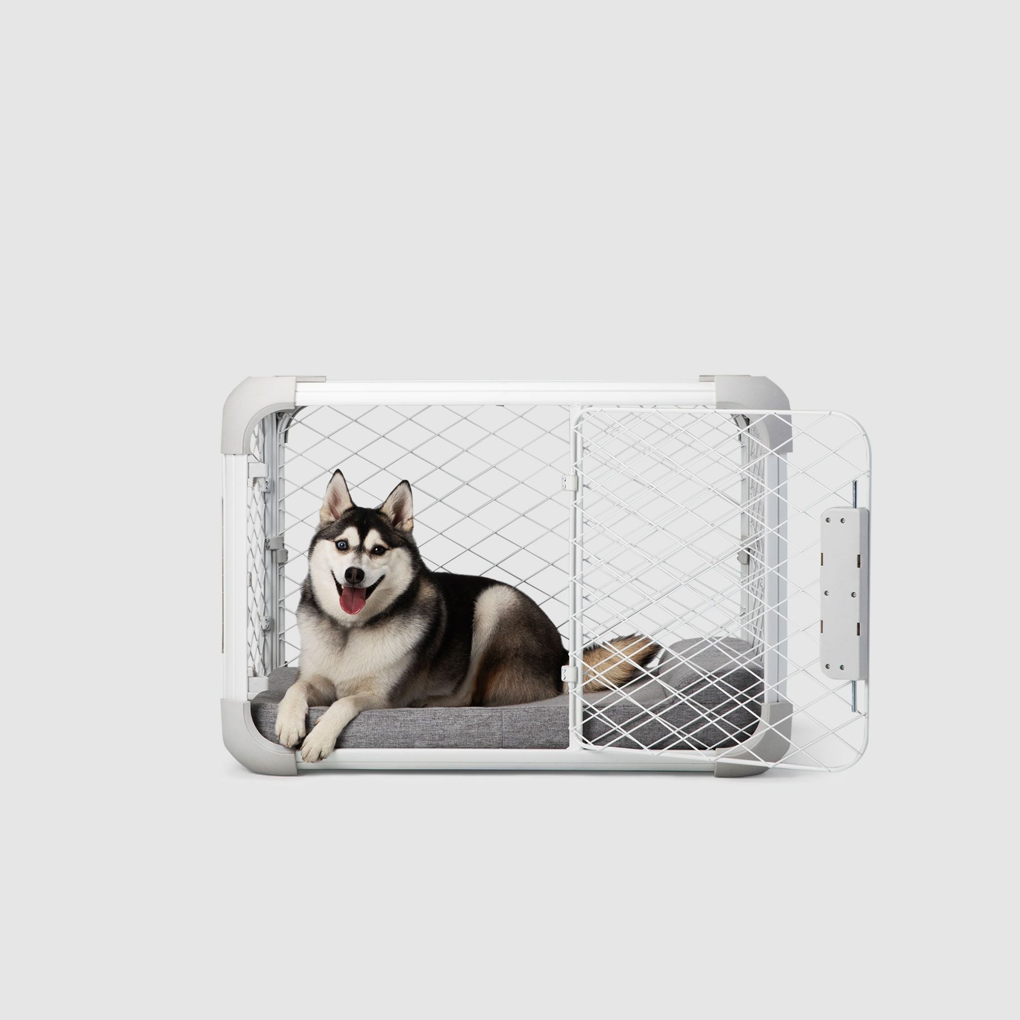 Side view of a husky laying on a Bolstr bed inside of an Evolv Dog Crate with open side door.