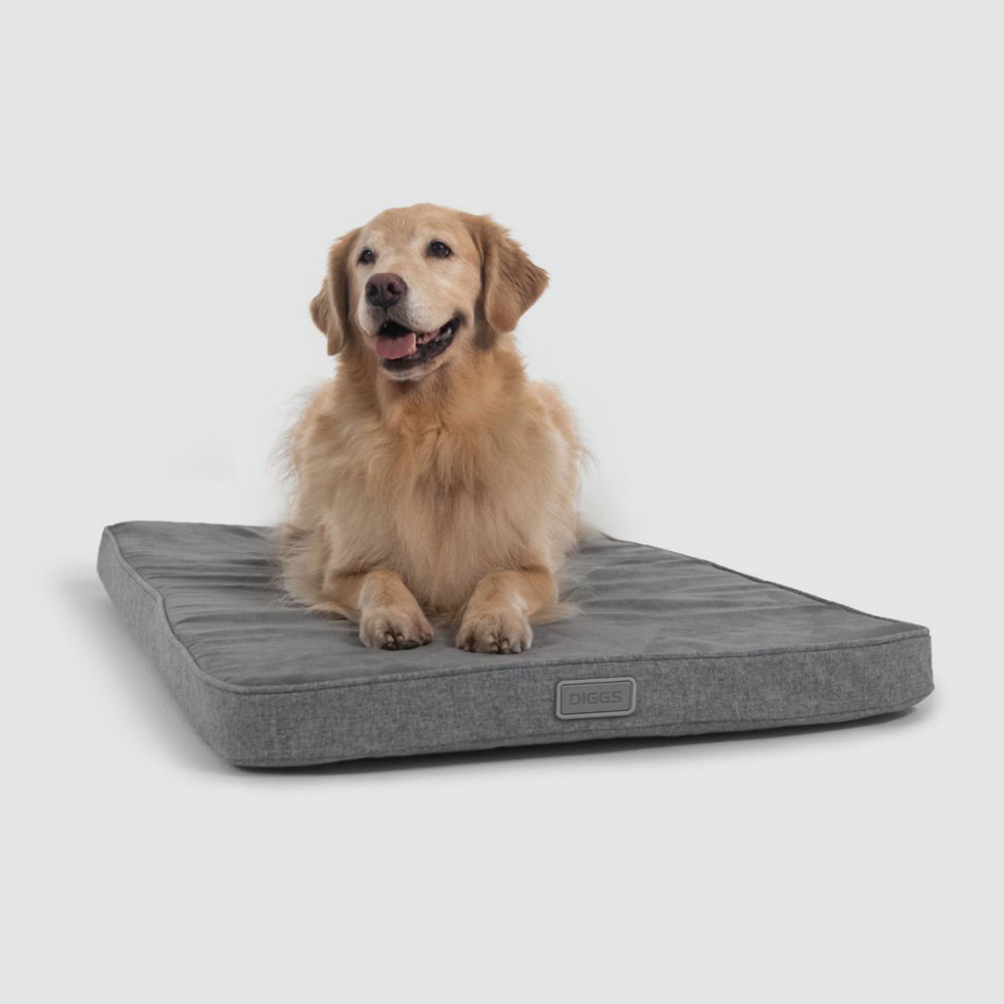 A Golden Retriever laying on a Snooz pad pictured from the front on a white background.
