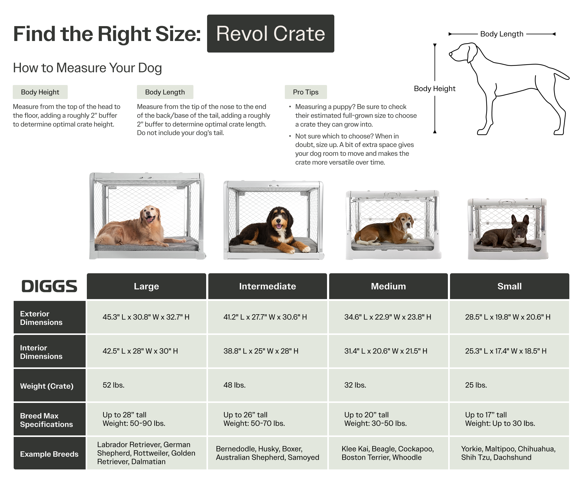 Size guide for Revol dog crates showing crate dimensions, weight, and recommended breed sizes (Small to Extra Large). Includes instructions for measuring a dog’s body height and length for an optimal fit.