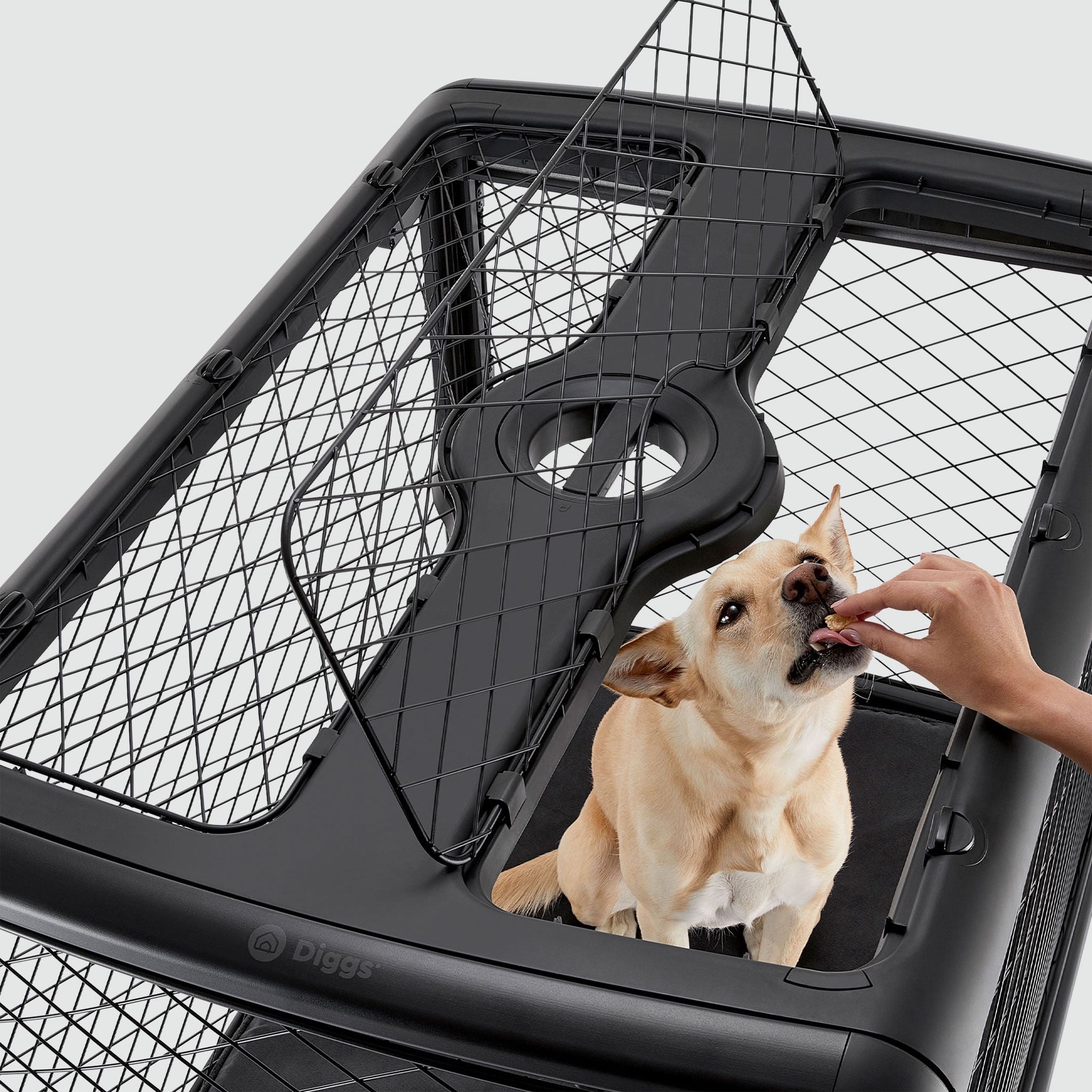 A dog is sitting inside of a dog crate with open ceiling hatch