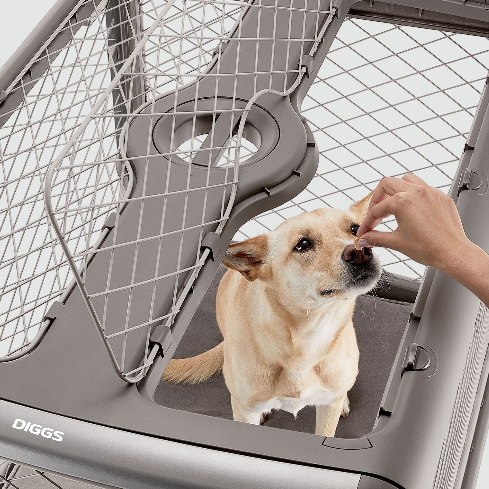 A person feeding a treat to a dog in a Revol through the open ceiling hatch