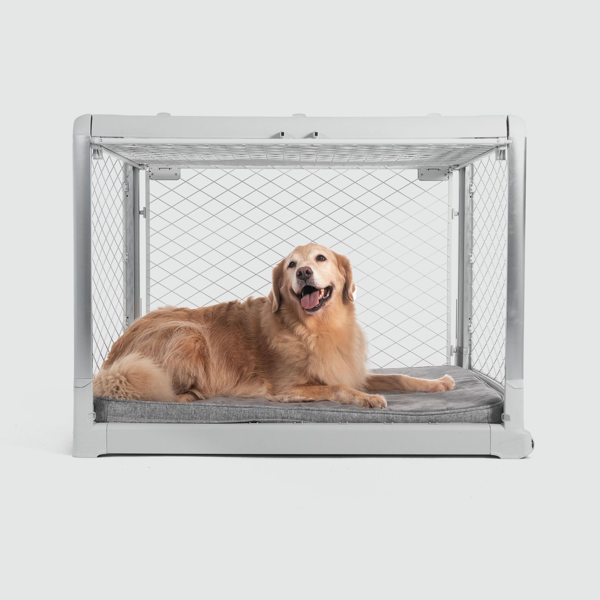A golden retriever laying in an Ash Revol dog crate pictured from the side with the side door open