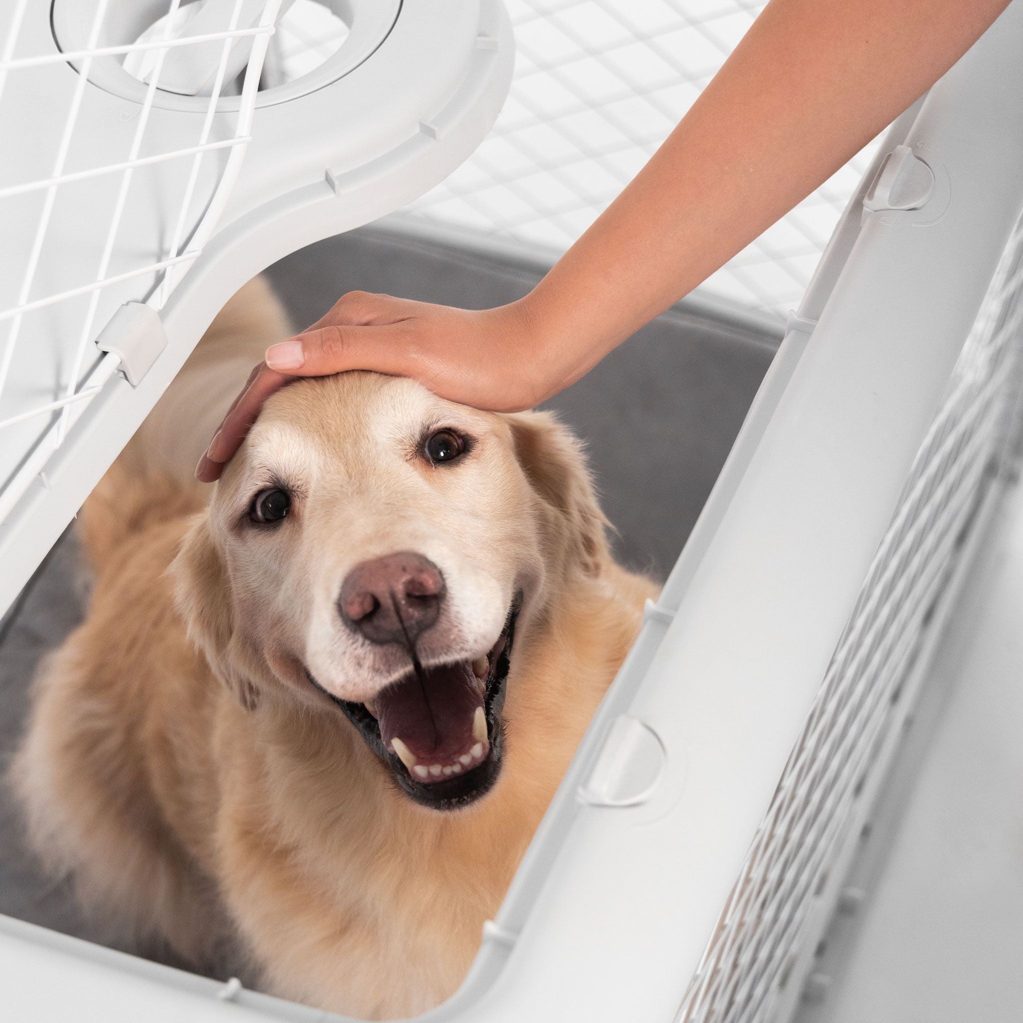 A person feeding a dog something through the Revol ceiling hatch