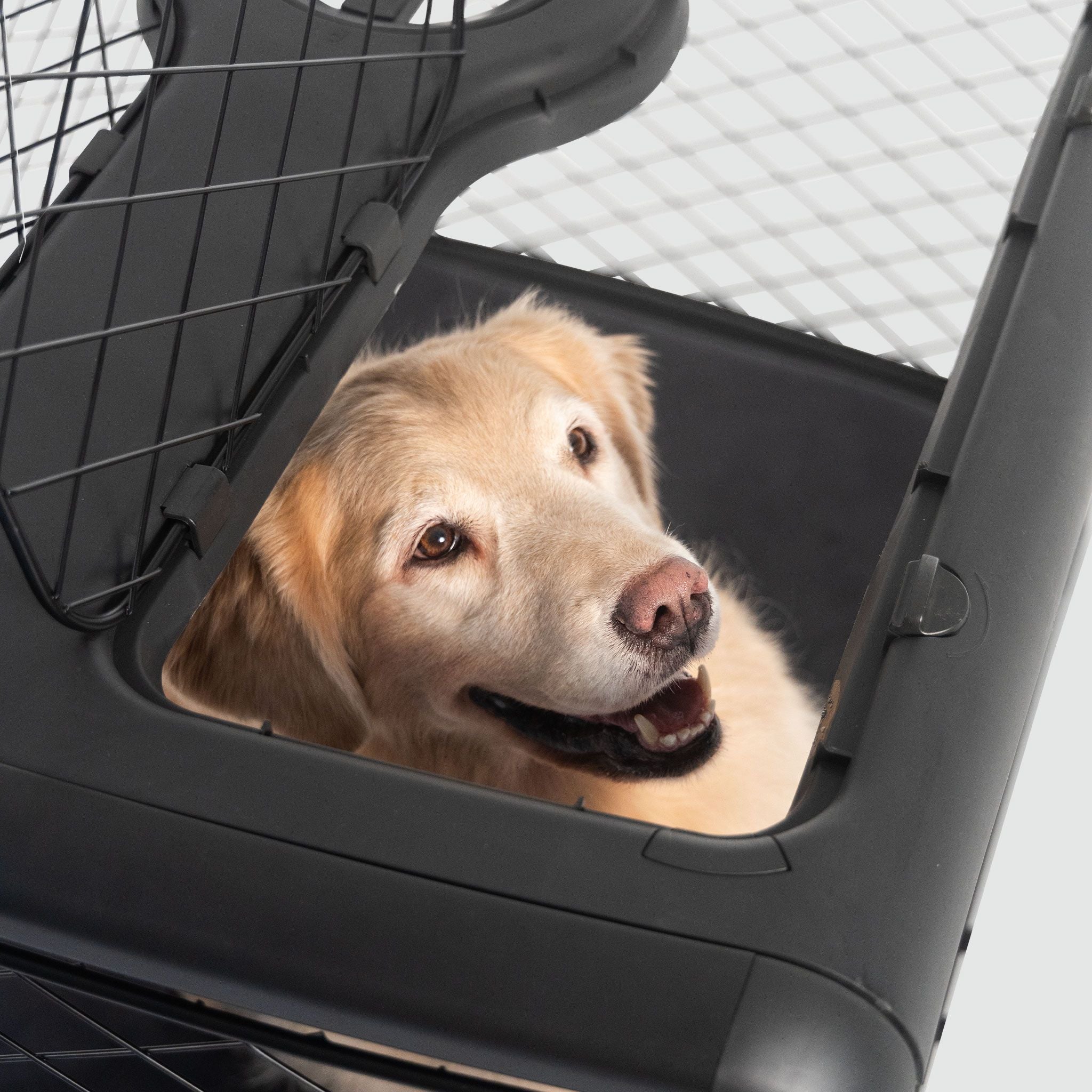 A dog in a Revol crate looking out through the ceiling hatch