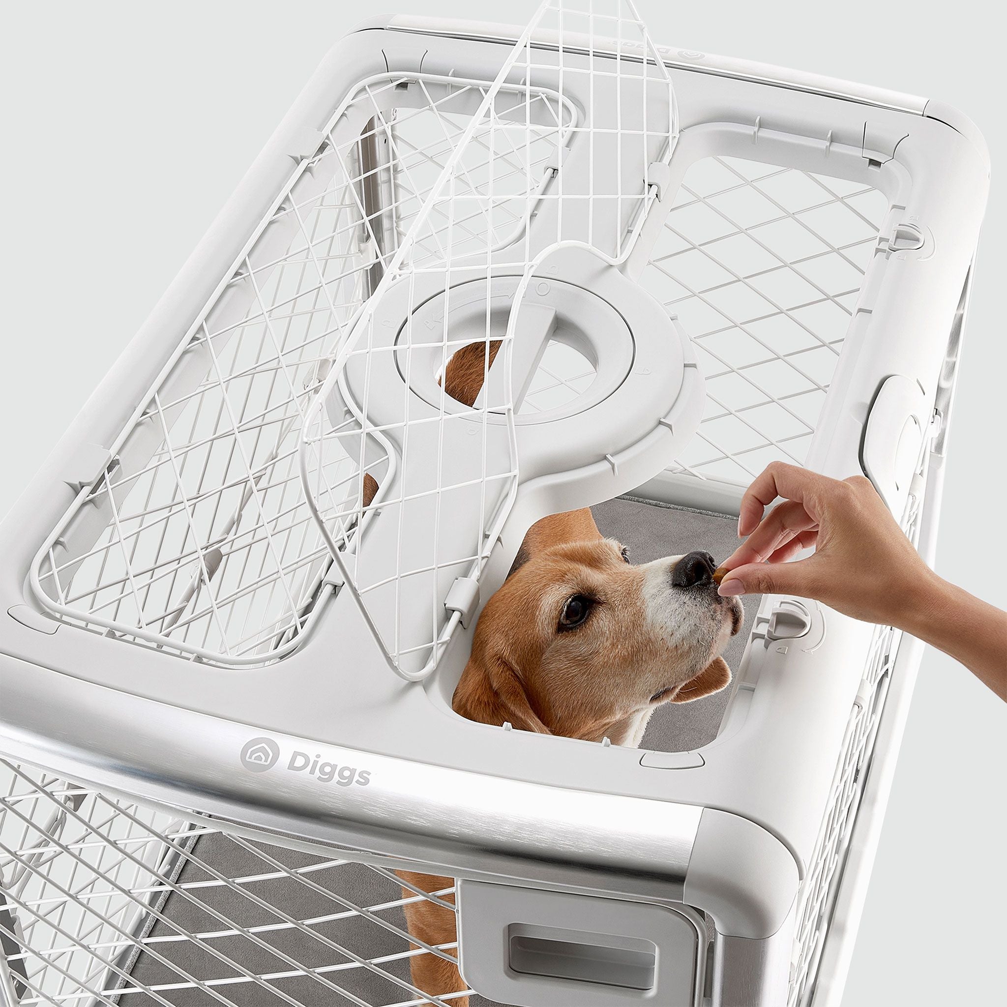 A person feeding a treat to a dog in a Revol through the open ceiling hatch