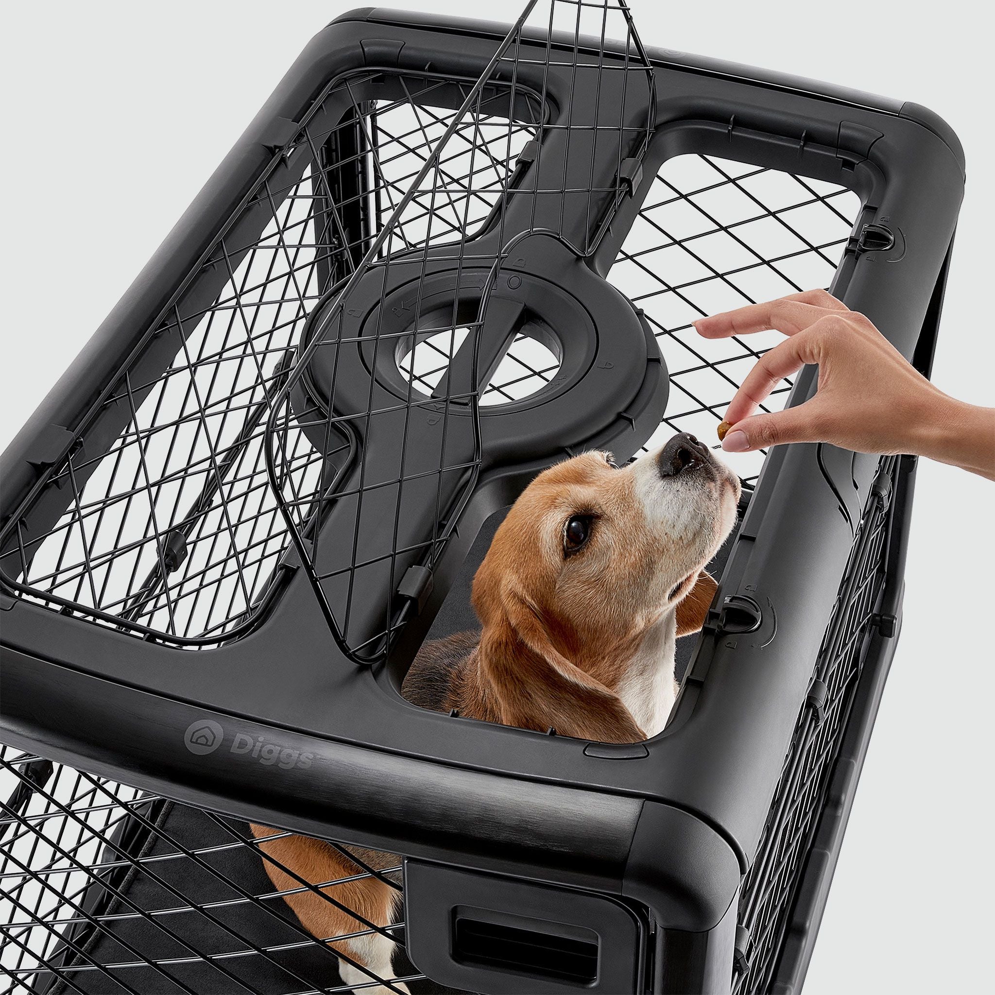 A dog is sitting inside of a dog crate with open ceiling hatch