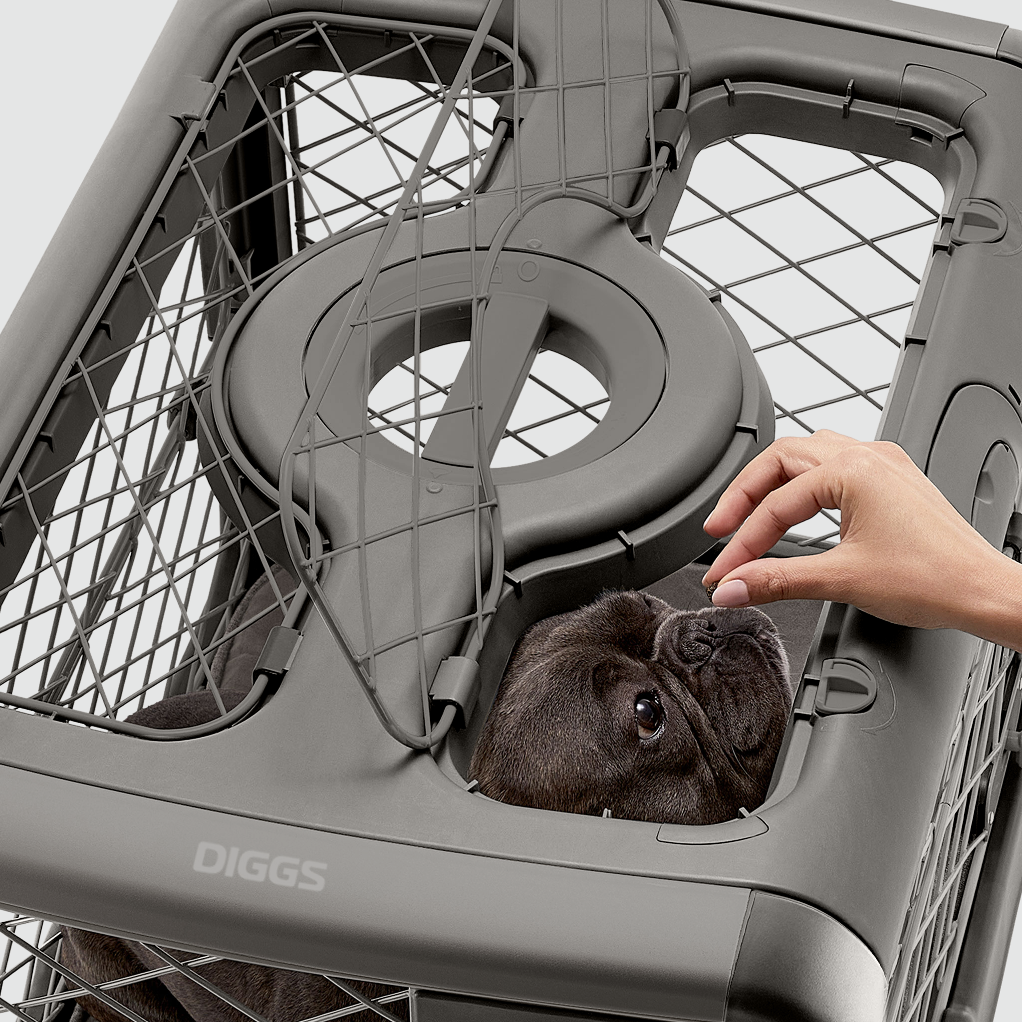 A person feeding a treat to a dog in a Revol through the open ceiling hatch