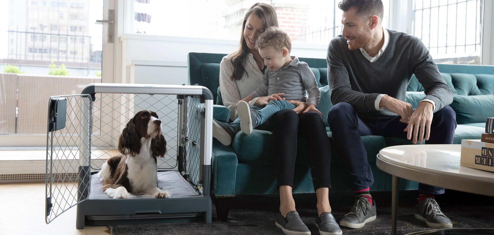 How to choose, use and maintain a dog crate