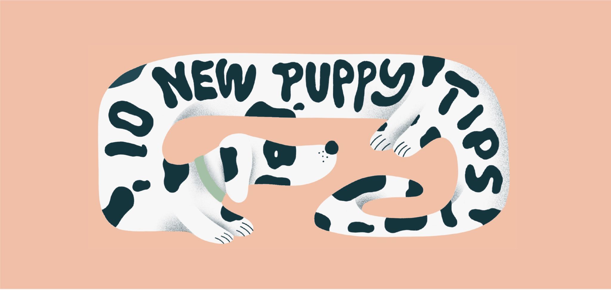 10 New Puppy Tips You Need To Know