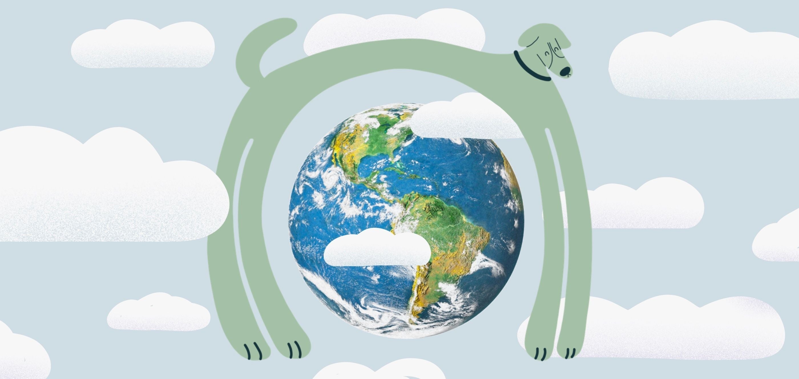 6 Ways to Be an Eco-Friendly Pet Parent