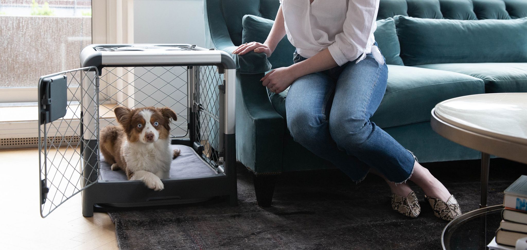 5 tips to get started with crate training