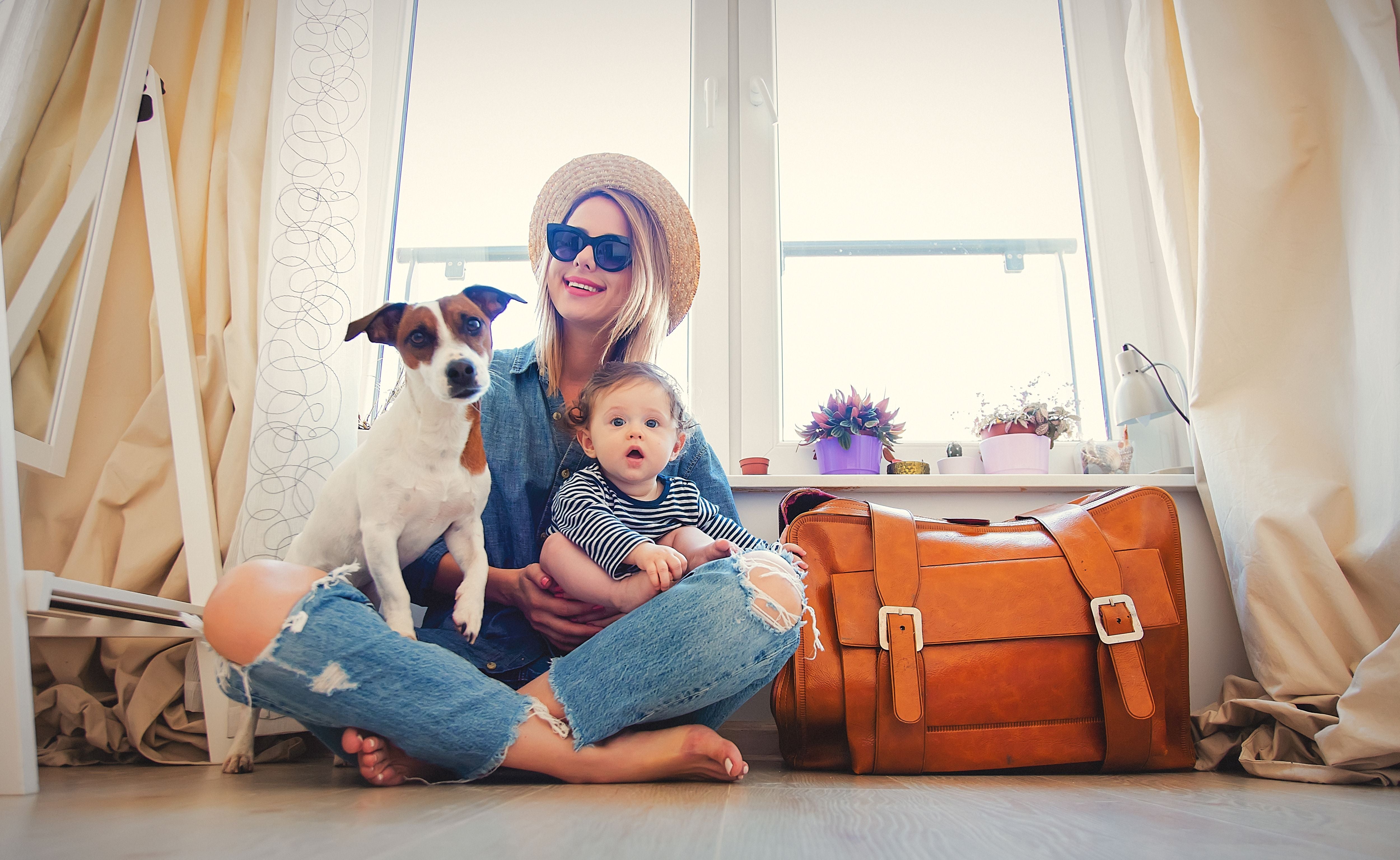 11 Tips for Flying with a Pet