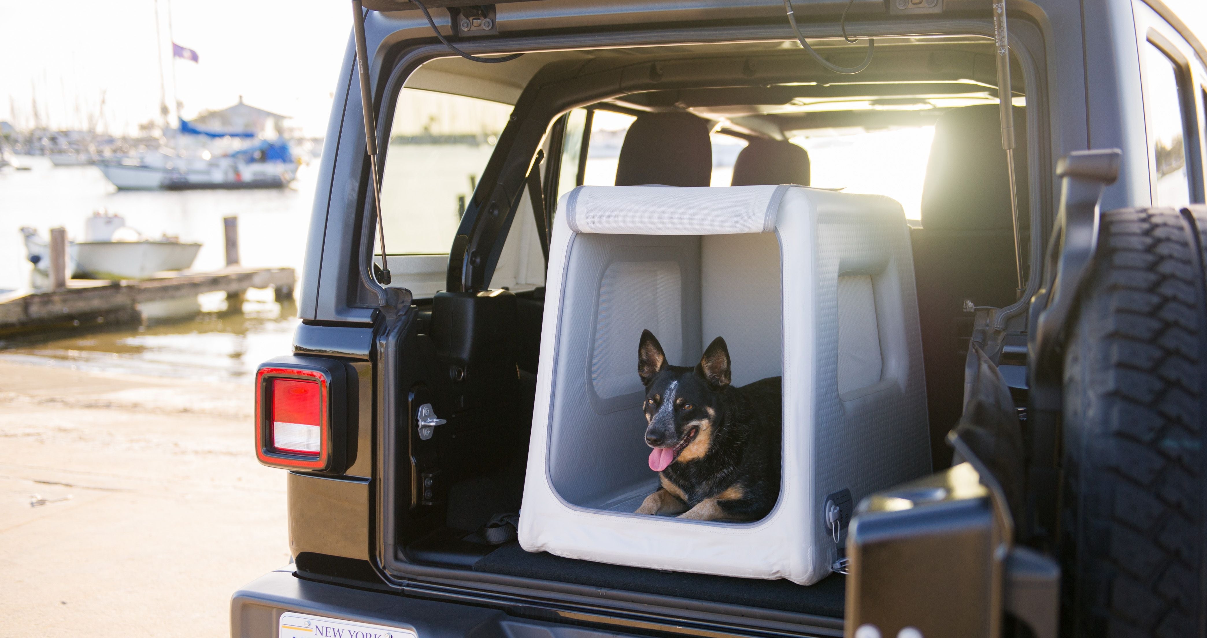 Traveling With Dogs: A Travel Kennel Buyer's Guide