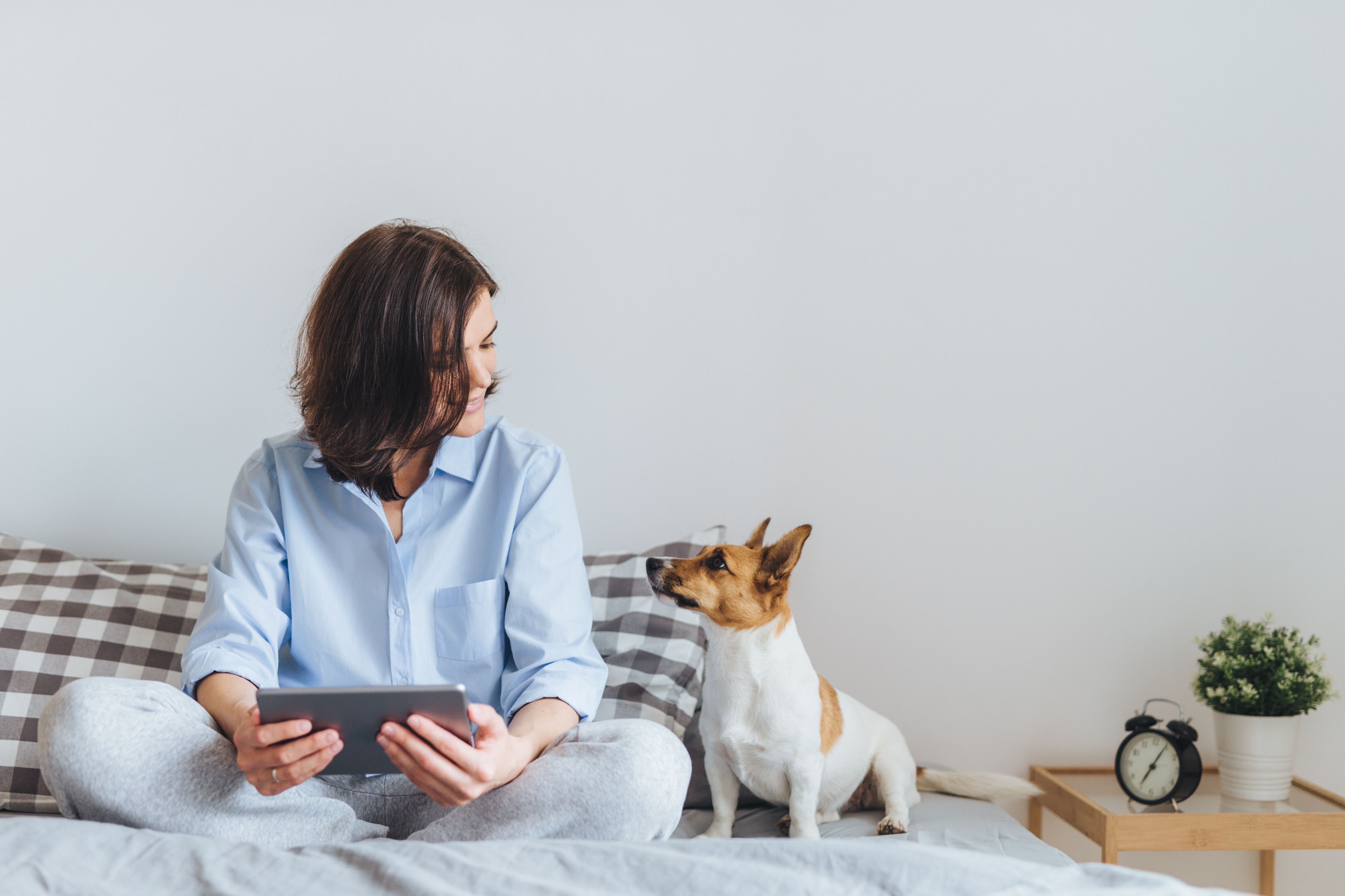 How Dogs Ask for Help: 7 Cues To Watch For
