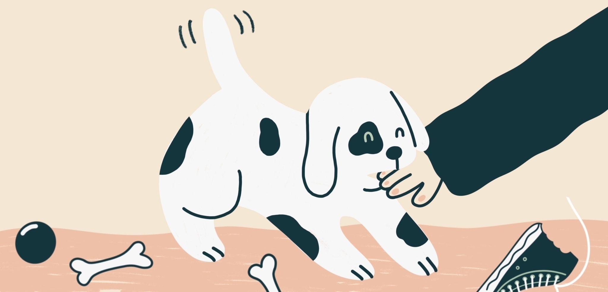How To Deal with Puppy Biting, Chewing, and Nipping