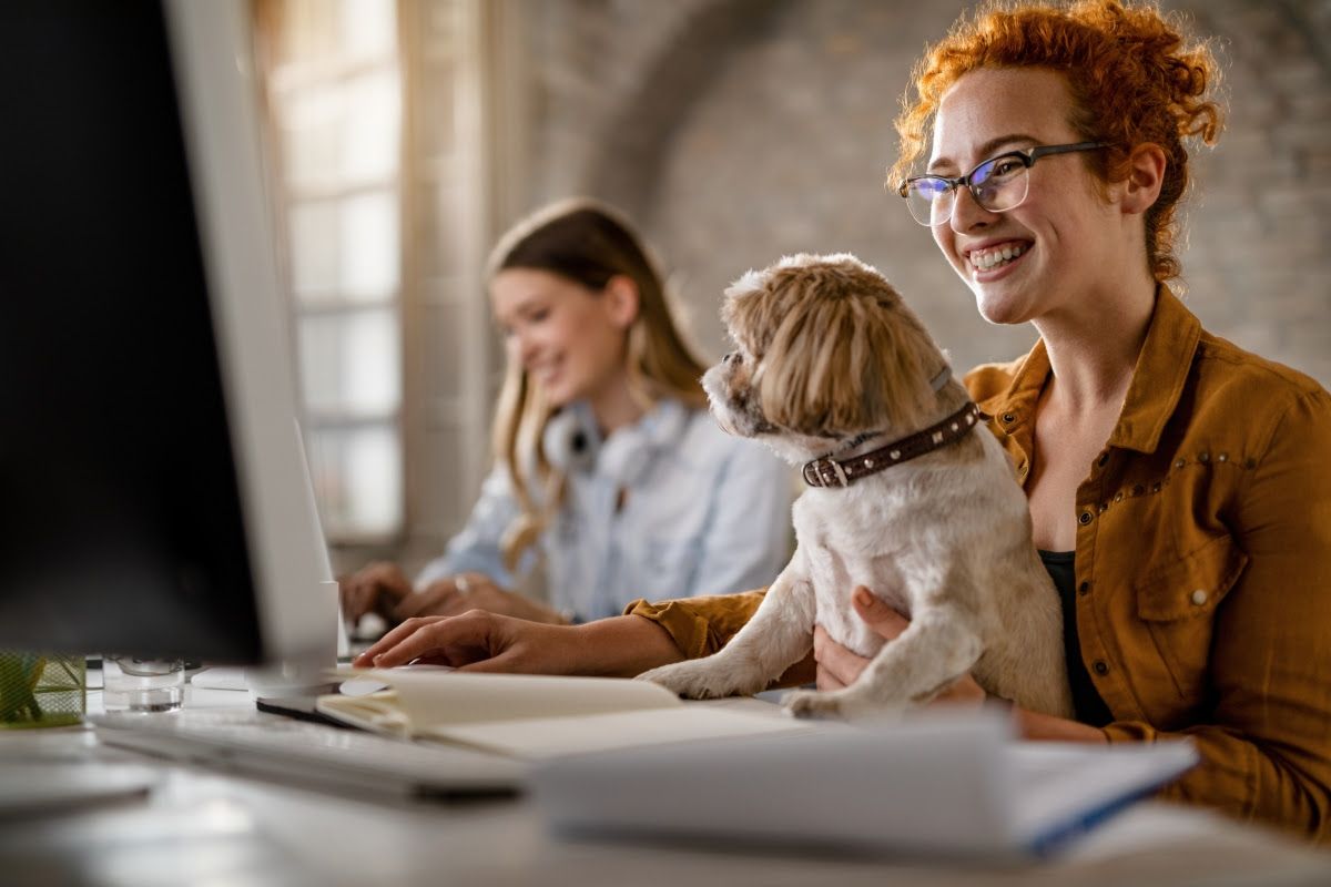 Bringing Dogs to Work is the Ultimate Perk
