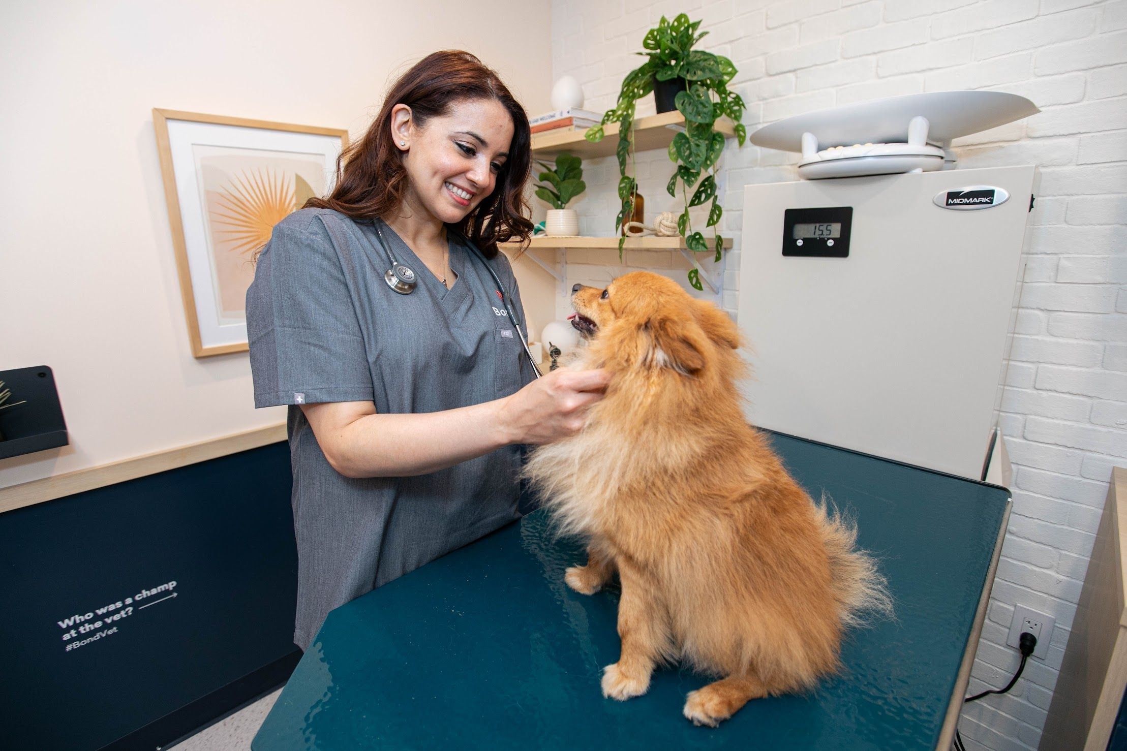Bringing Home a New Puppy: Q&A with Bond Vet