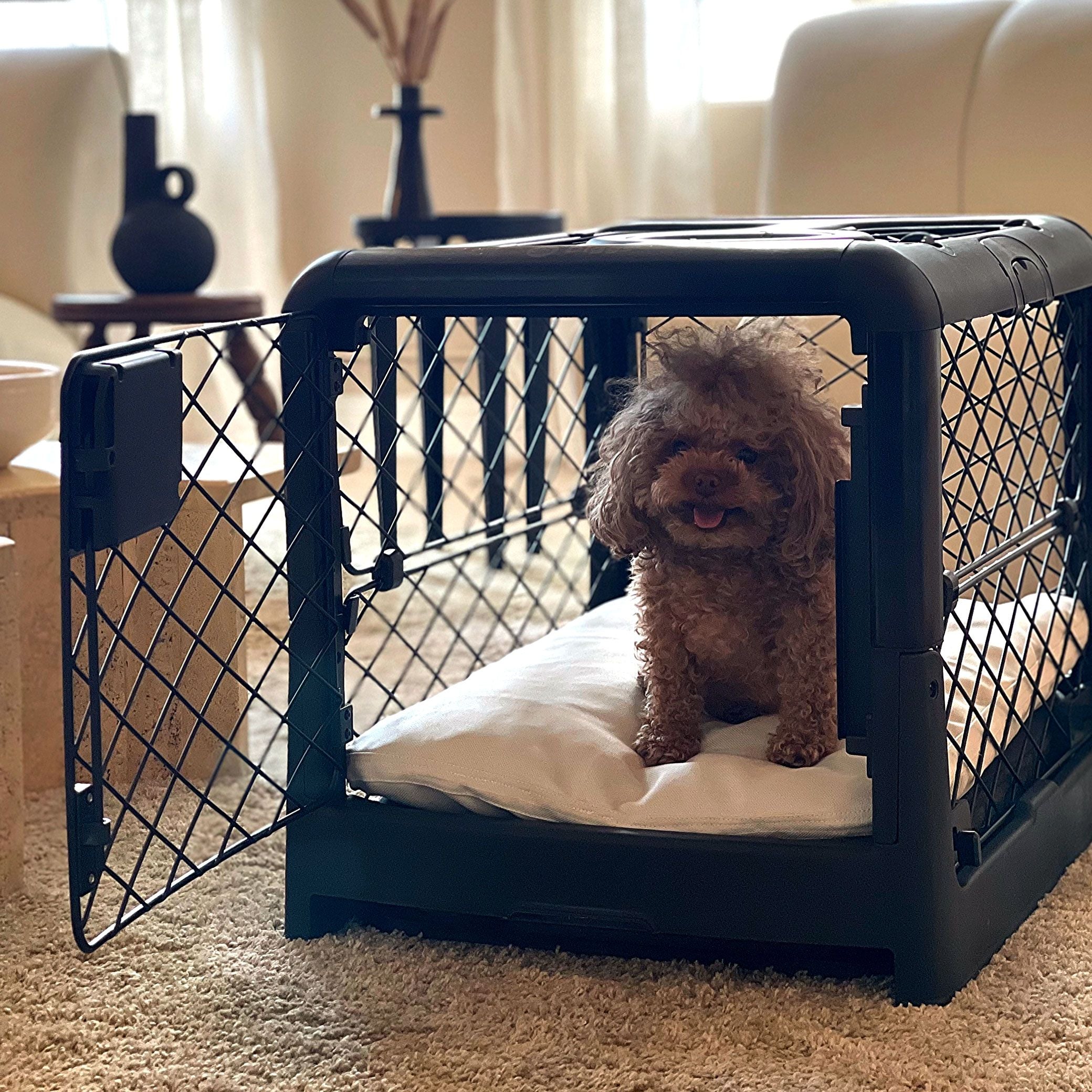 Why Do Dogs Dig in Their Beds & Is It Normal?