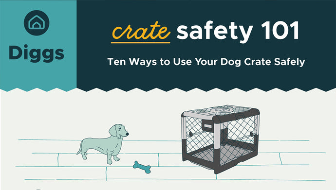 Ten tips to use your dog crate safely.