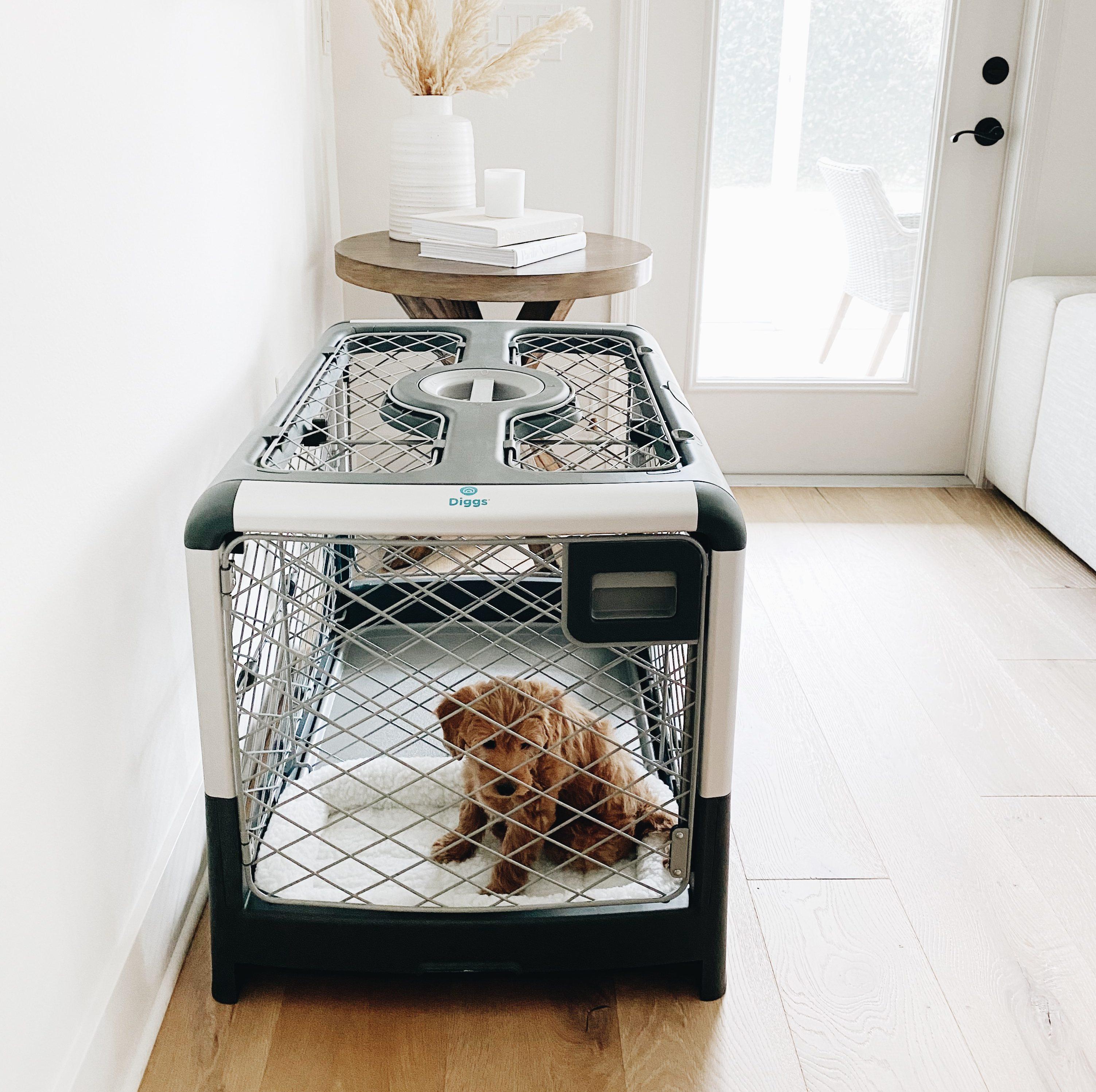 The Ultimate Guide to Crate Training