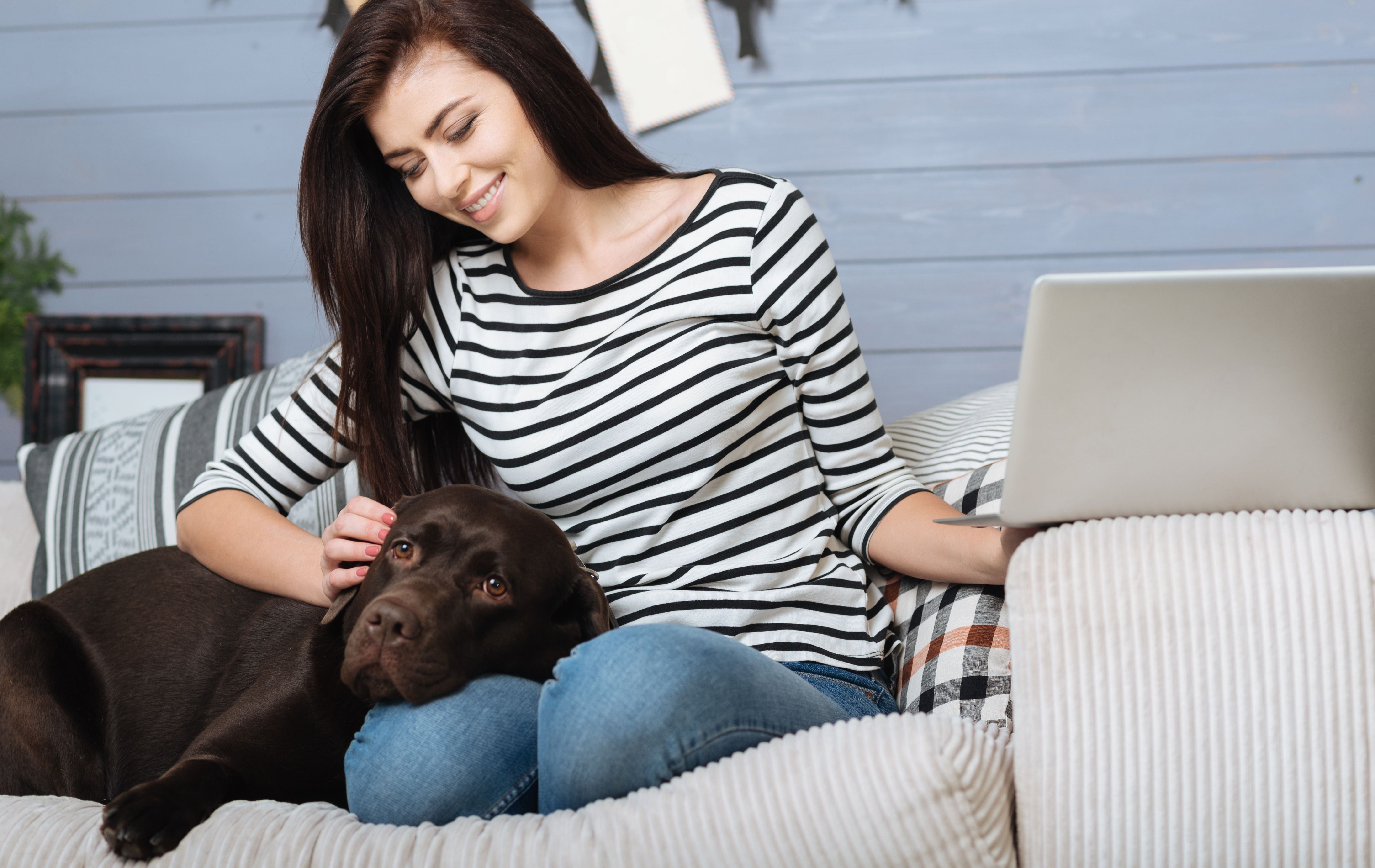 Crate Training a Puppy While at Work: A Guide