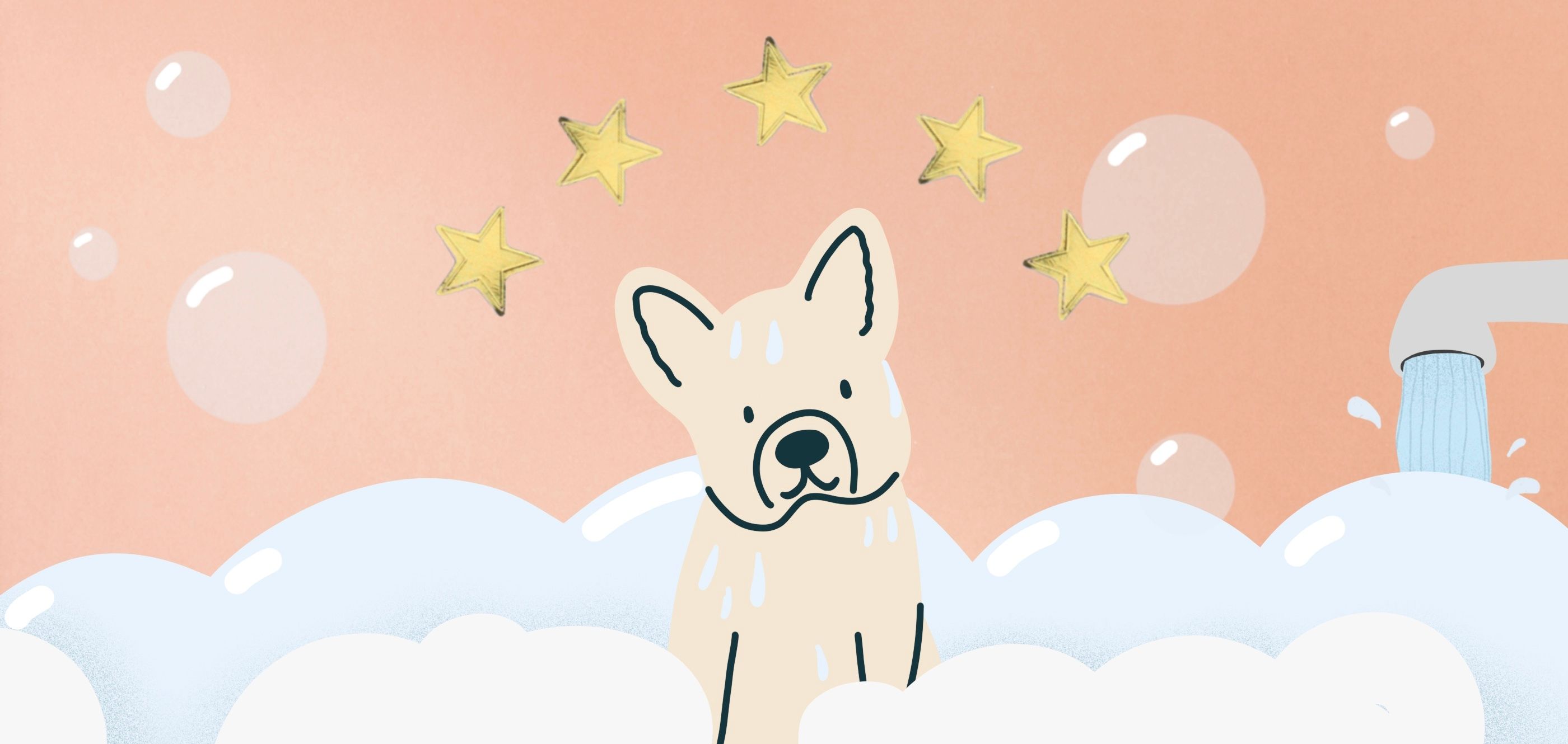 How to Get Your Pup a Gold Star at the Groomer