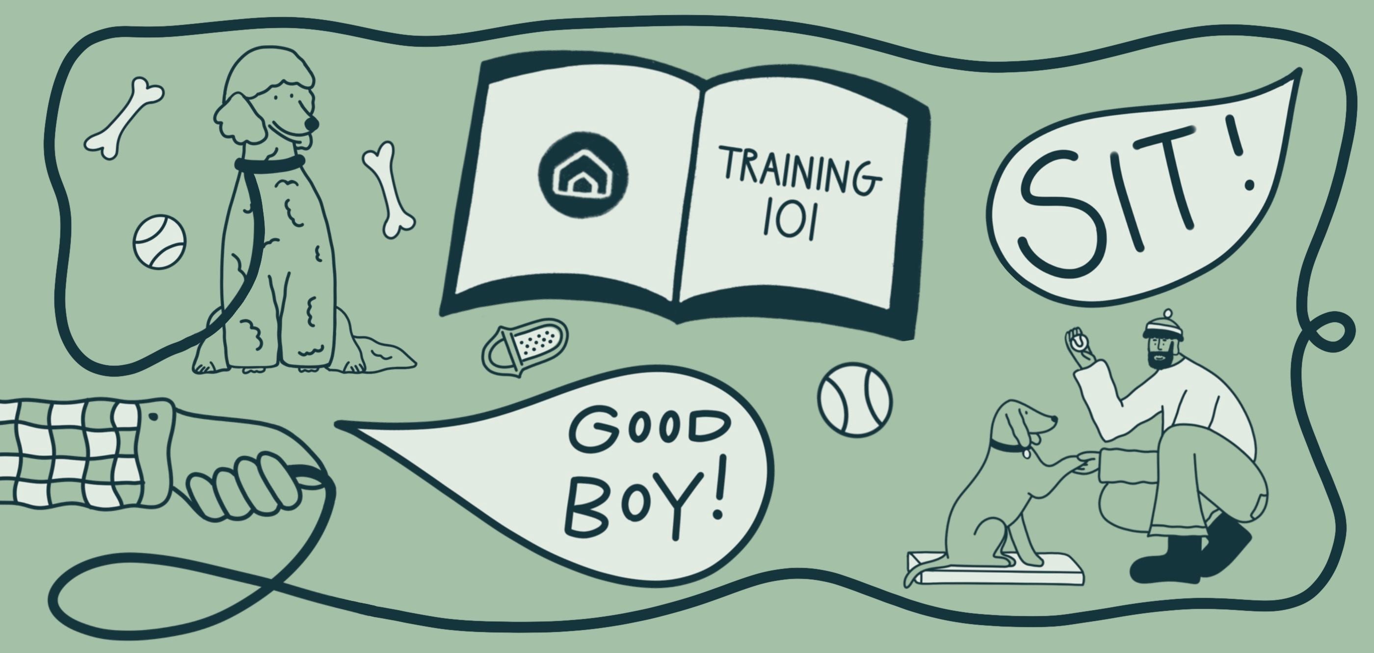 Our Top Training Tips