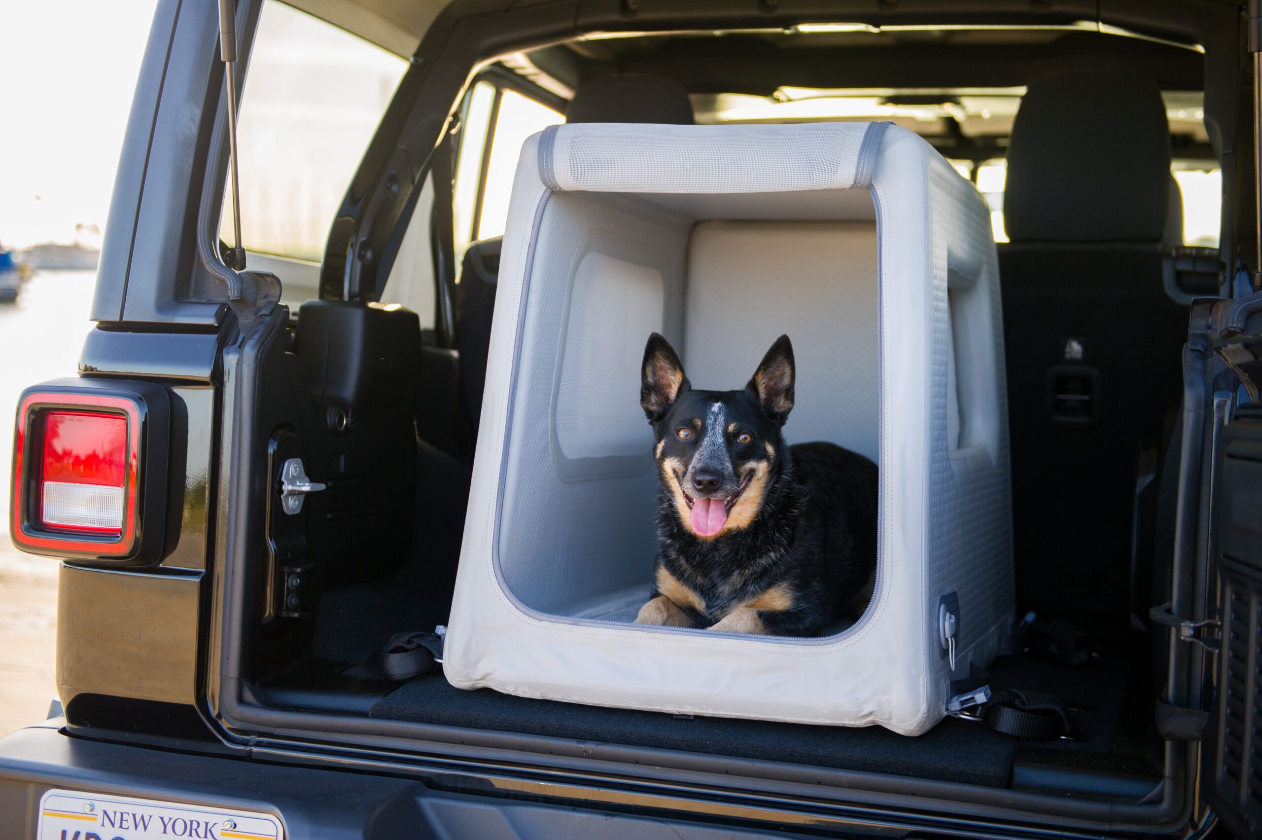 Taking Your Dog Glamping? Our Top Tips for Pet-Friendly Glamping