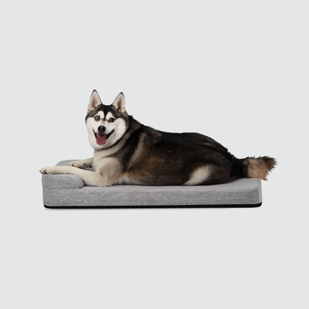 Bolstr Evolv Bed