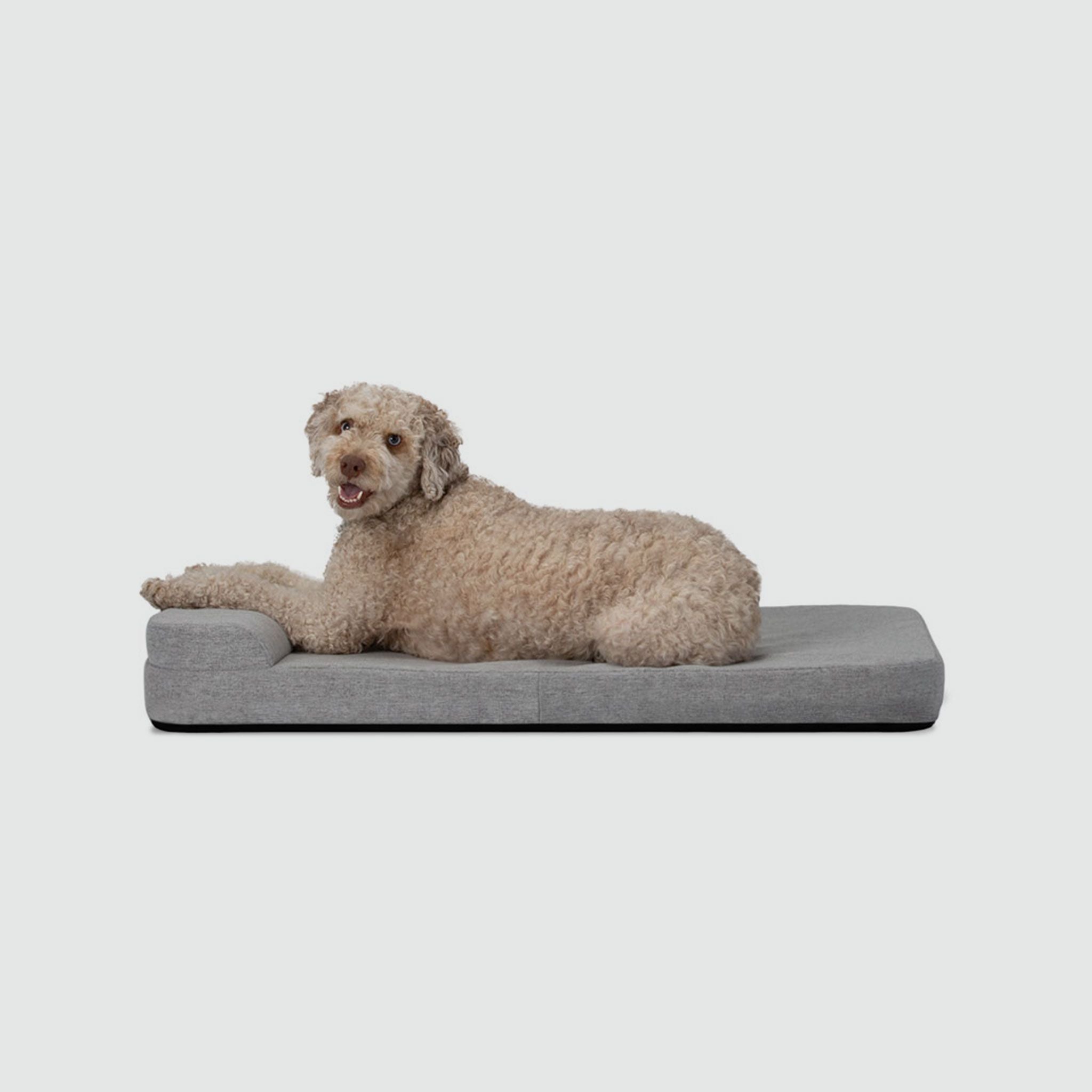 A dog laying on top of a dog bed