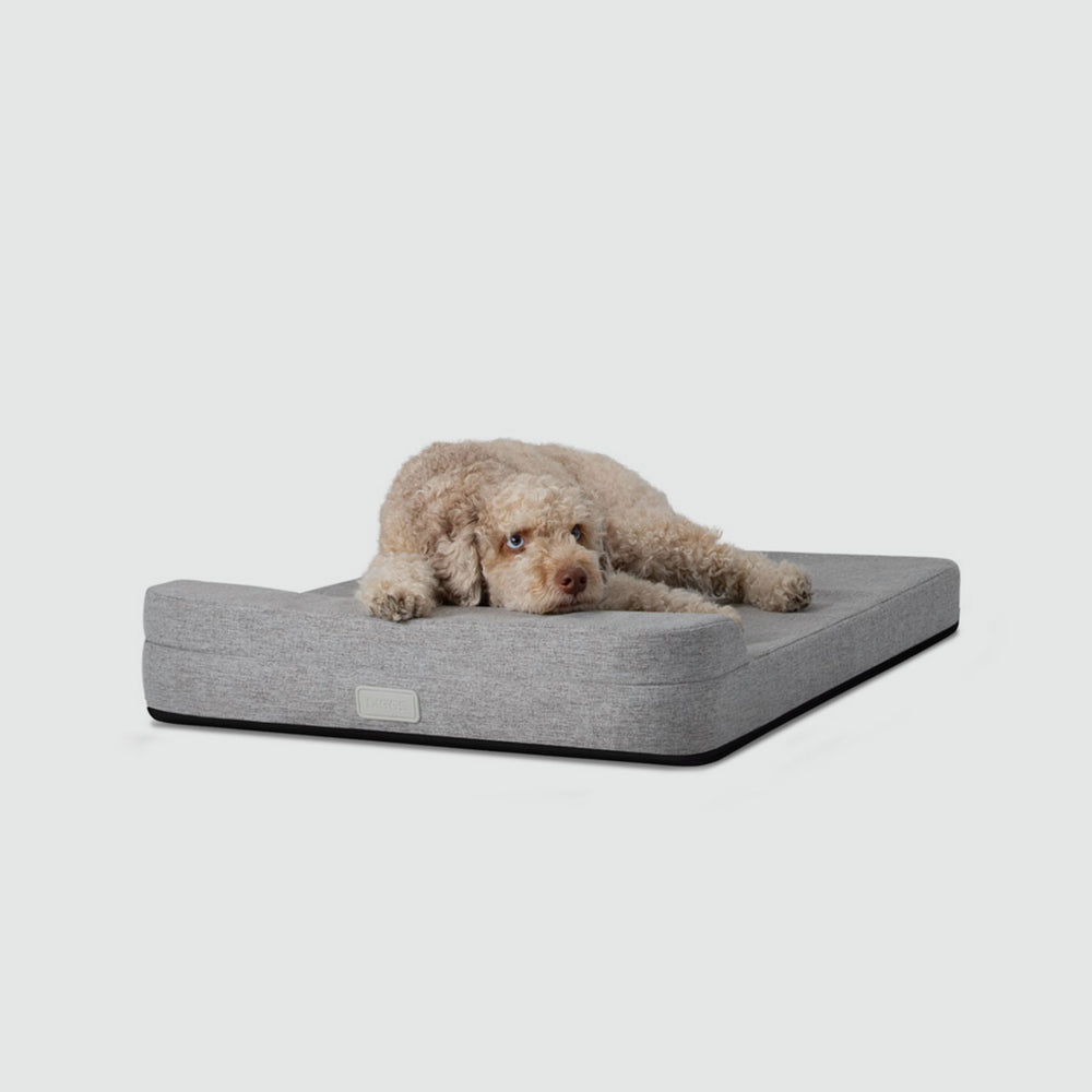 Bolstr Evolv Bed