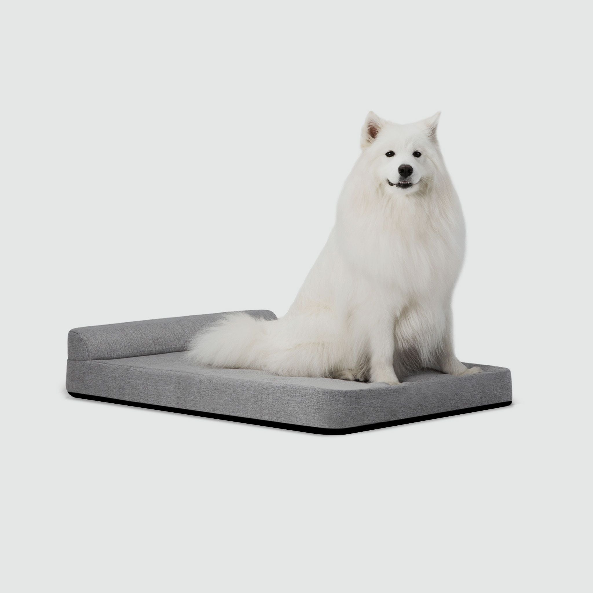 A white dog sitting on top of a dog bed
