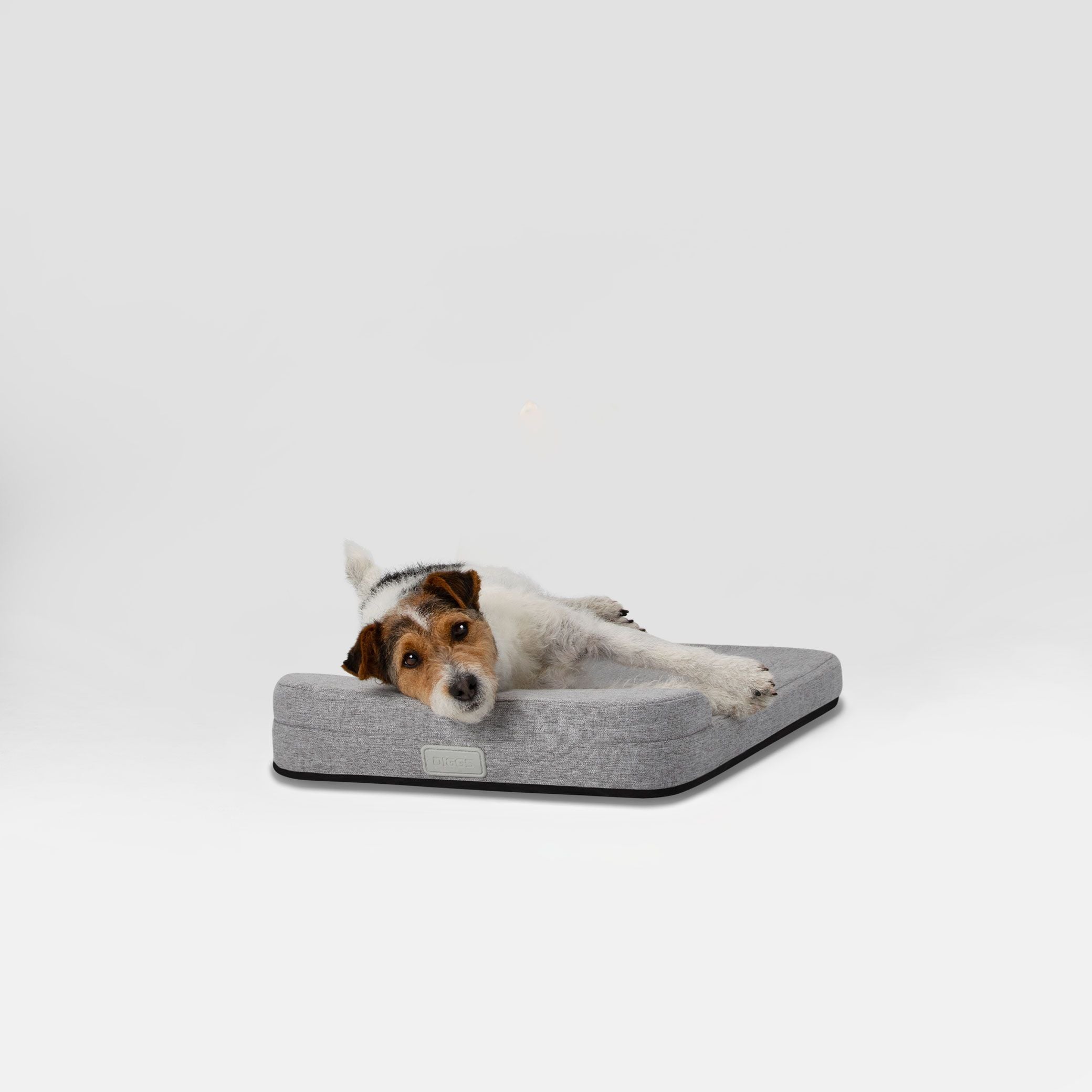 Diagonal view of Bolstr Dog Bed with terrier dog laying and resting head on bolstered headrest