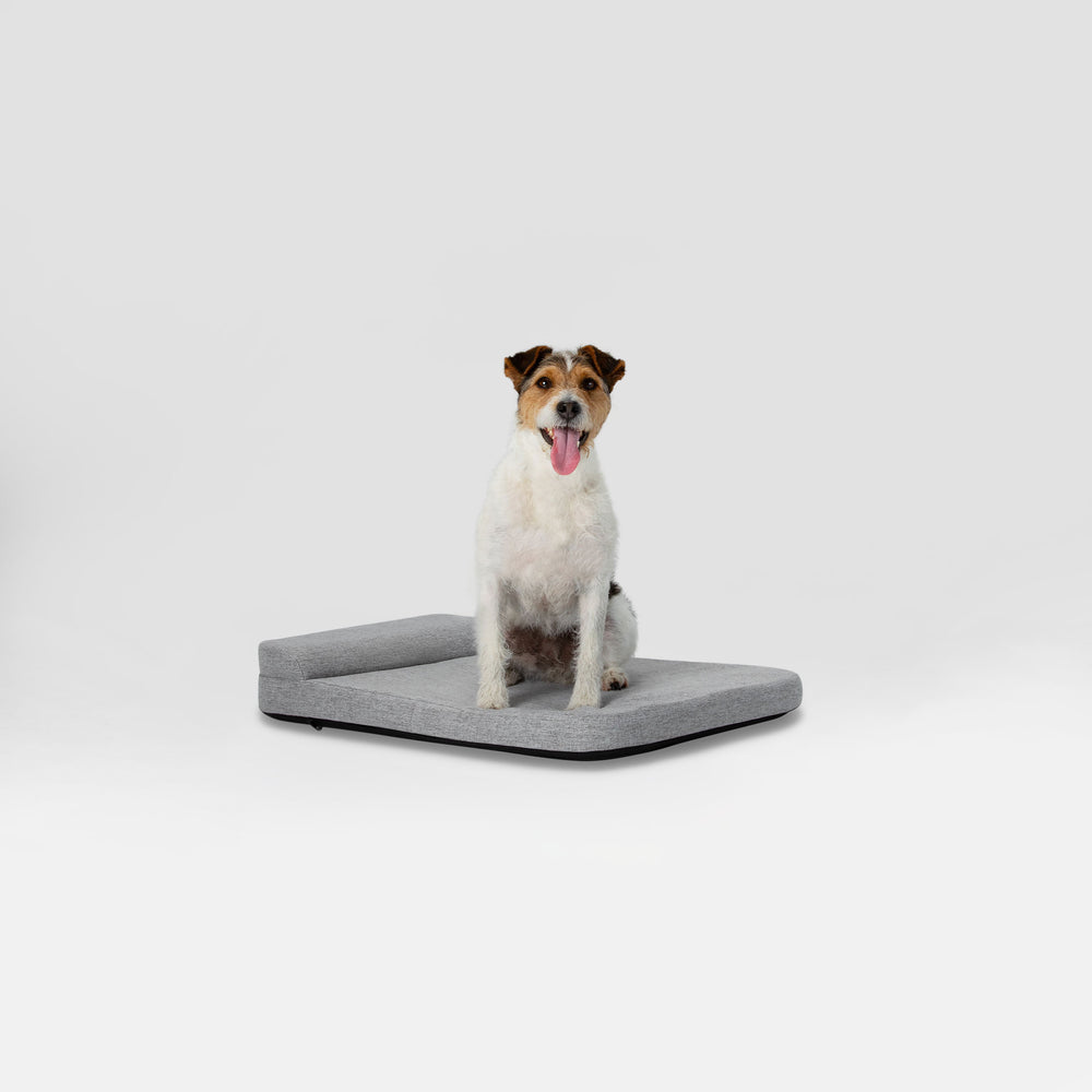 Bolstr Evolv Bed