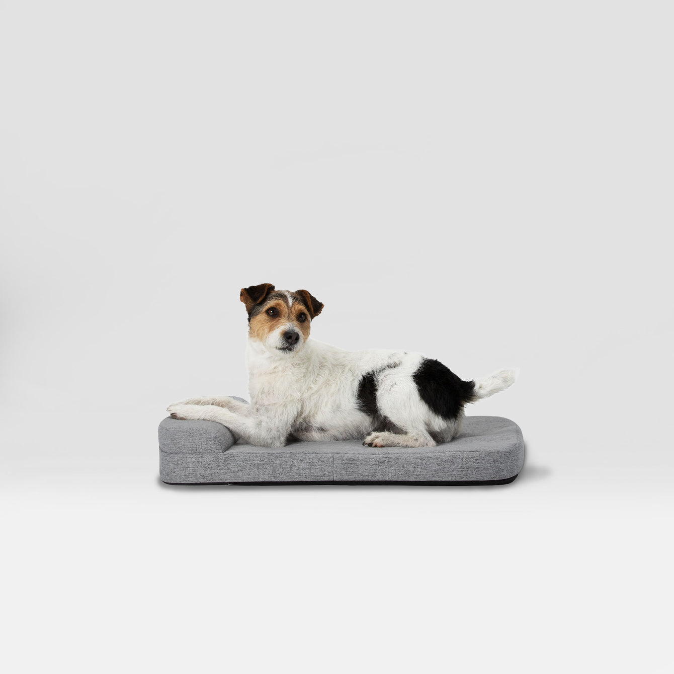 Bolstr Dog Bed