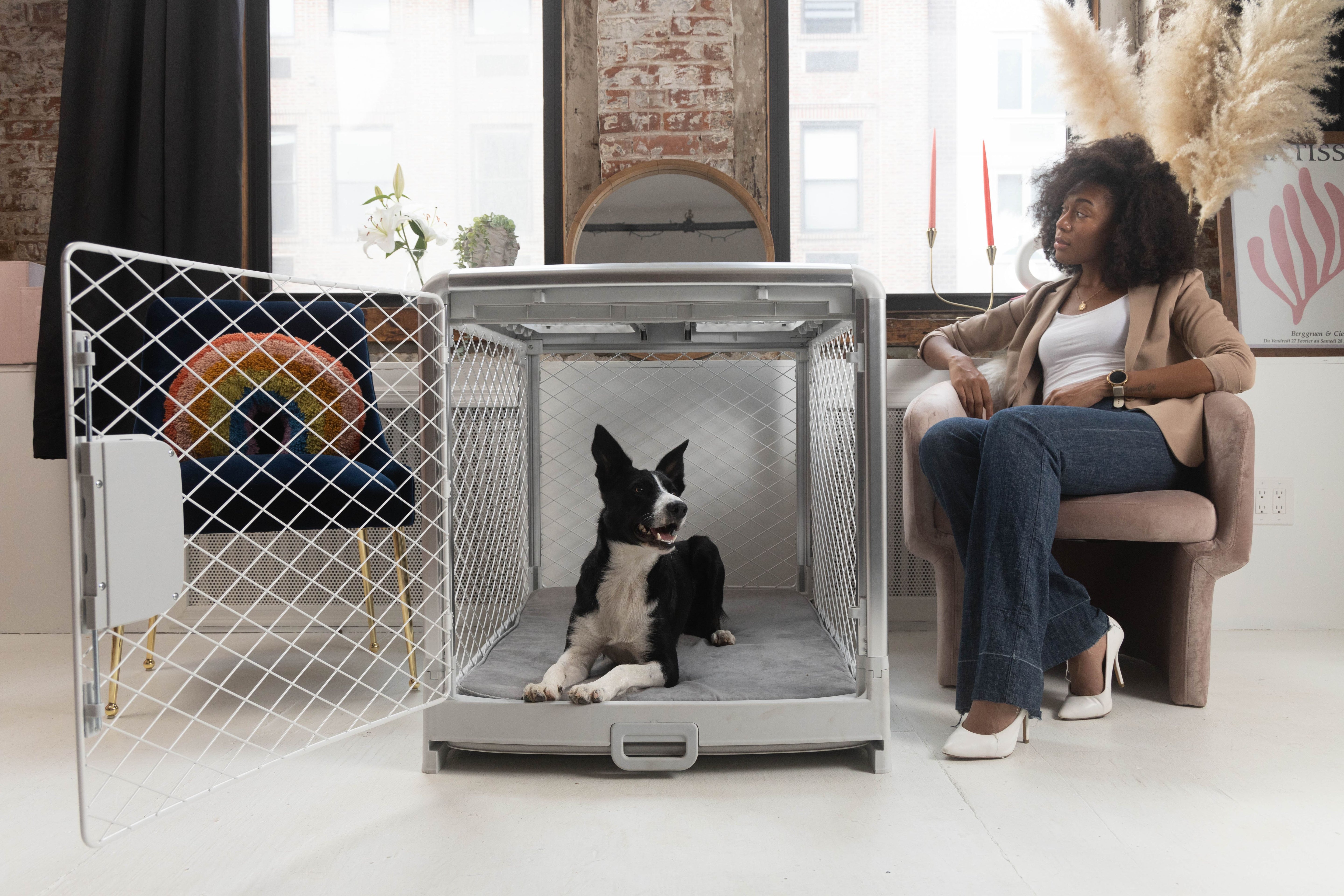 In a living room set up with the owner sitting on the couch while looking at her dog sitting on the Snooz Pad inside the Ash Revol.