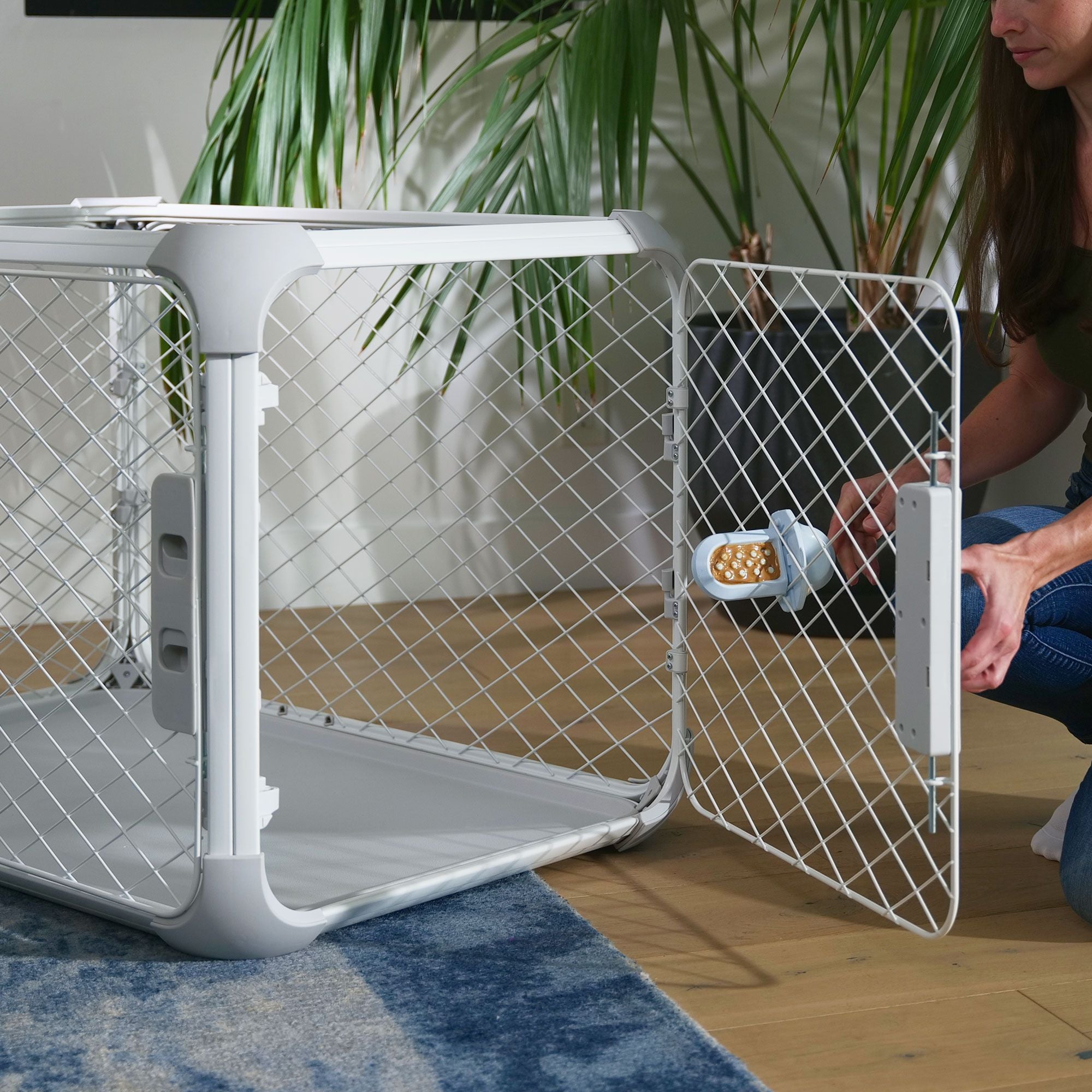 A woman inserting a light blue Groov Training Aid into the front door of an Evolv Dog Crate