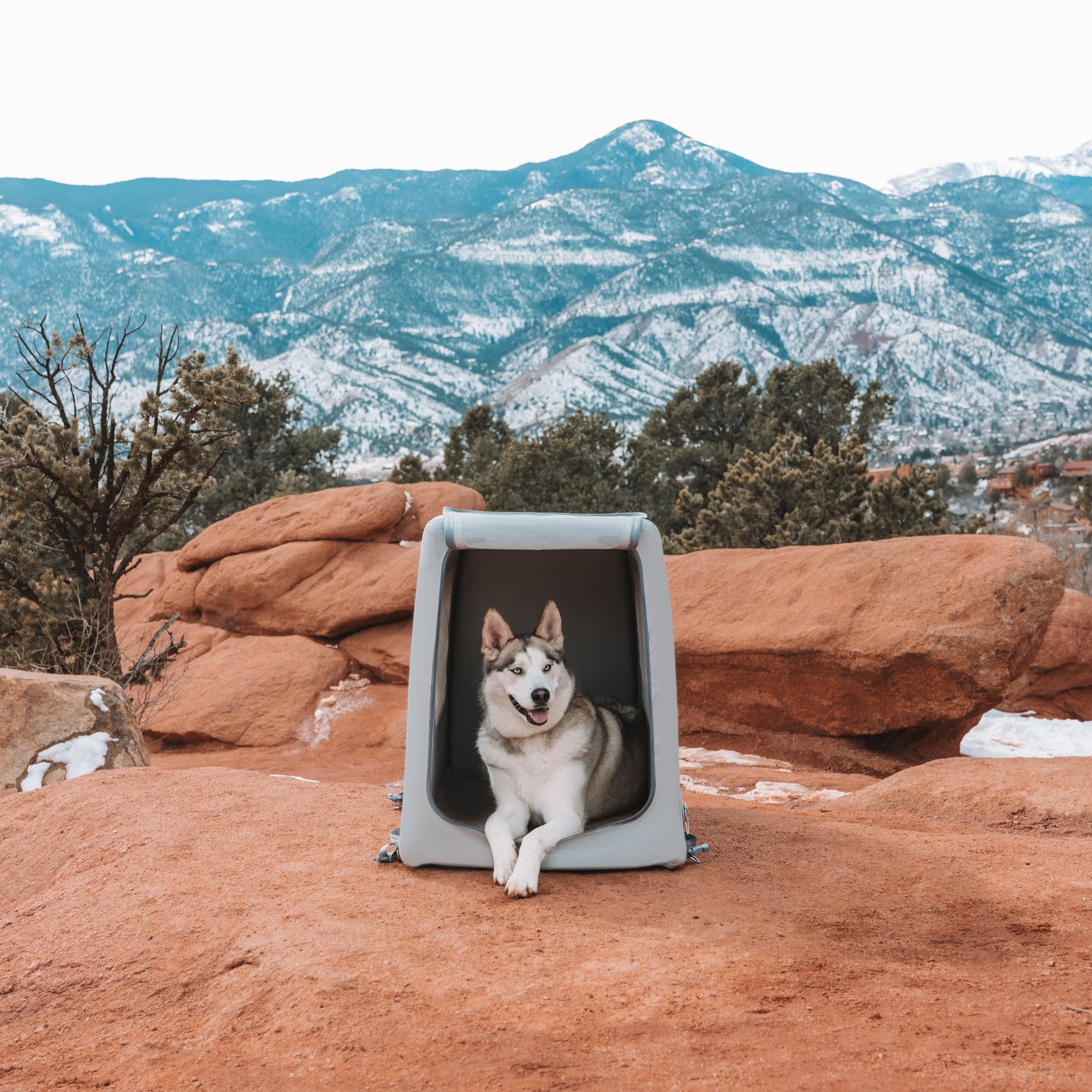 a dog sitting in an Enventur in the mountains
