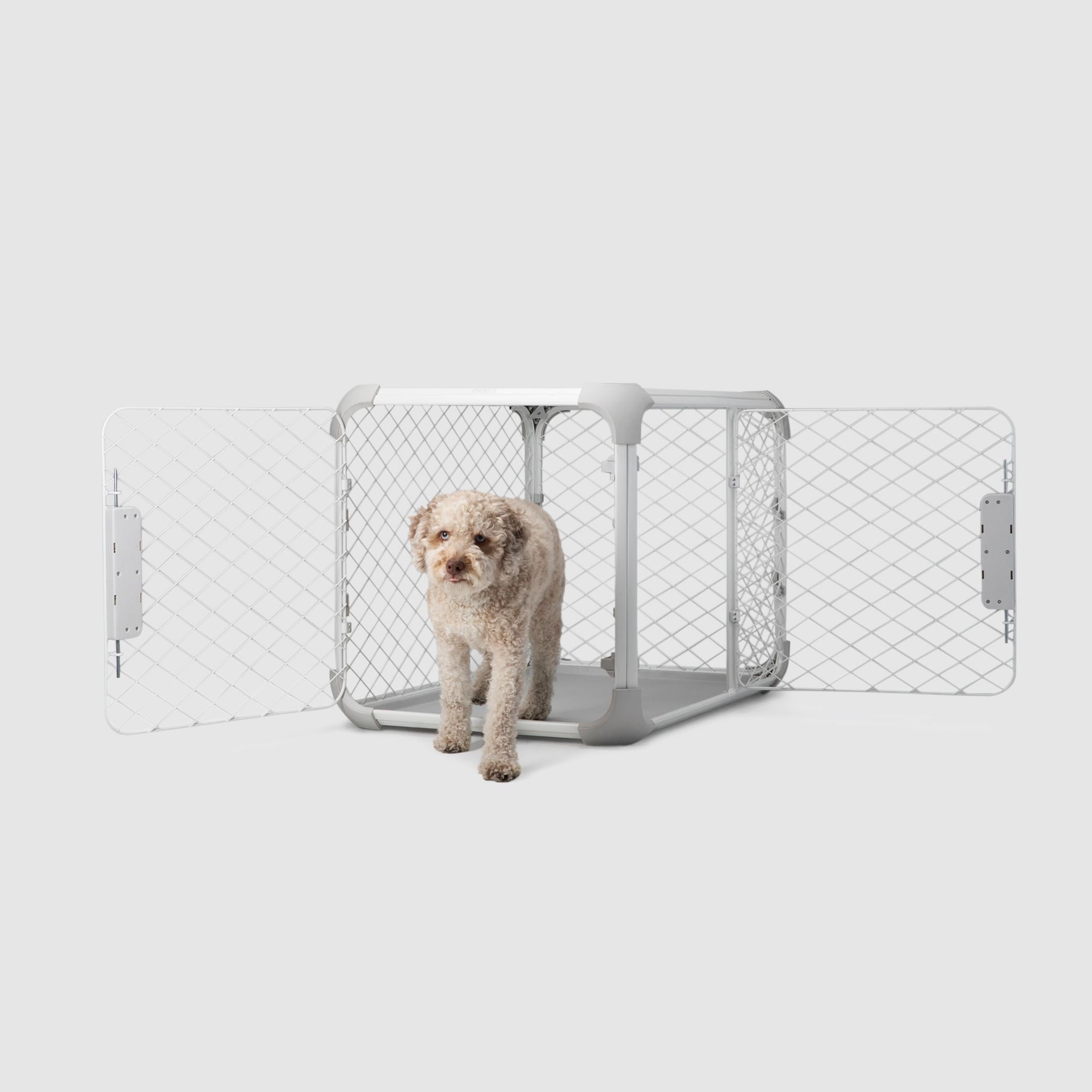 A small dog laying in a dog crate