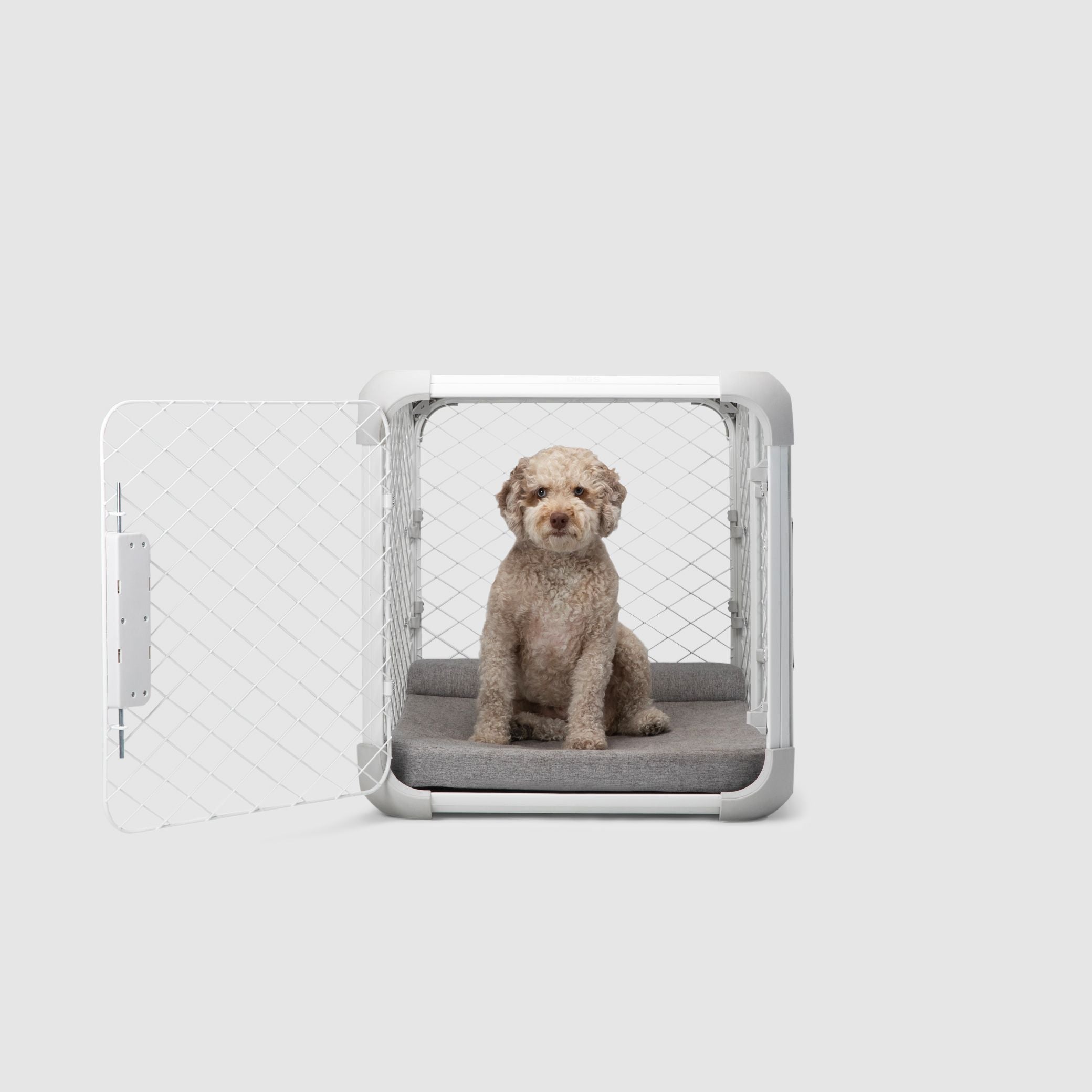 A dog sitting in a dog crate with a white background