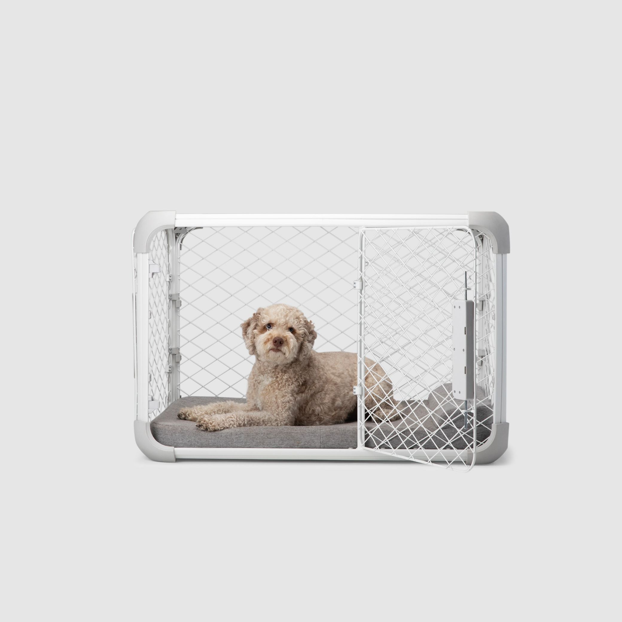 A dog is sitting in a dog crate
