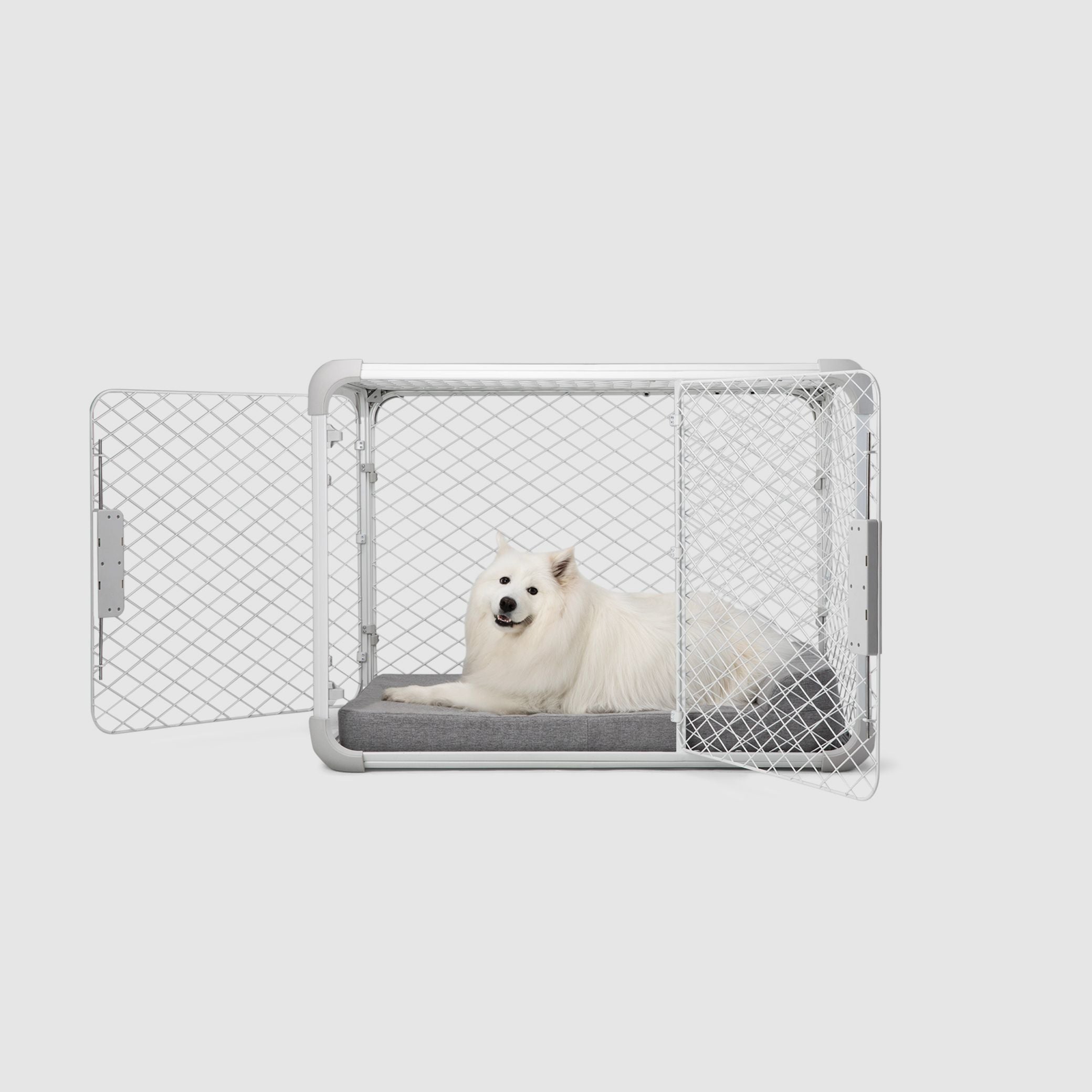 A white dog laying inside an Evolv crate with the side door open