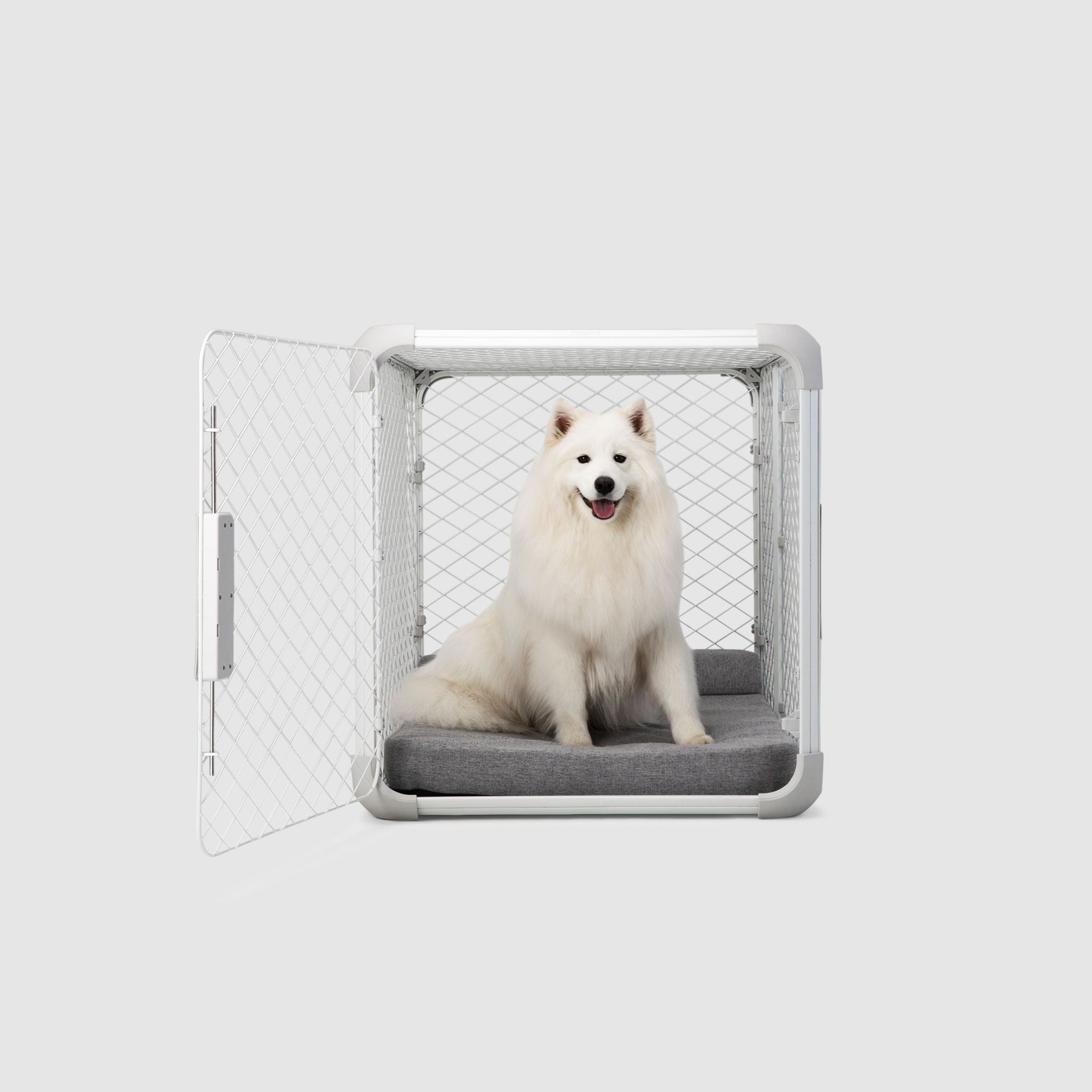 A white dog sitting inside of an Evolv dog crate